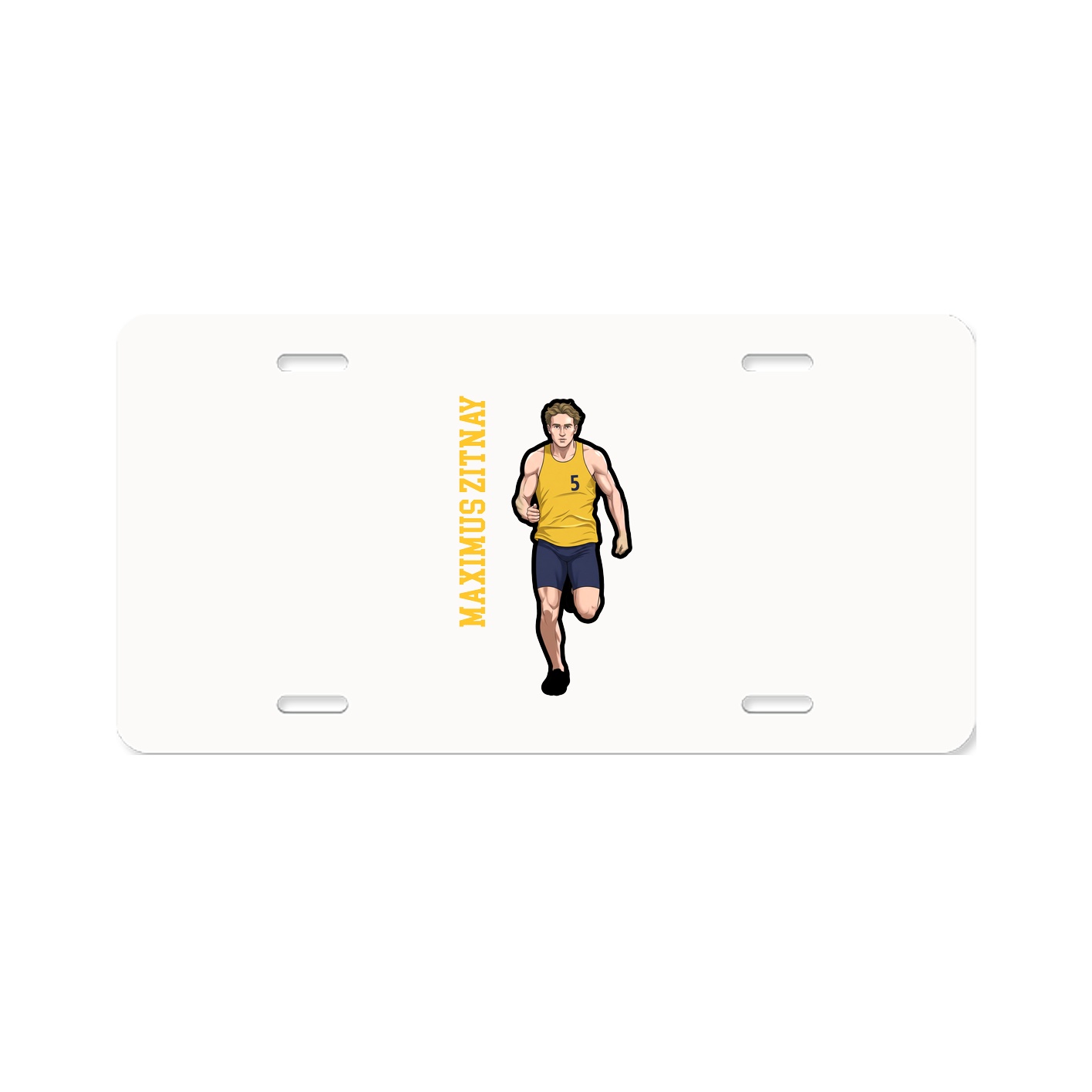 Aluminum License Plate