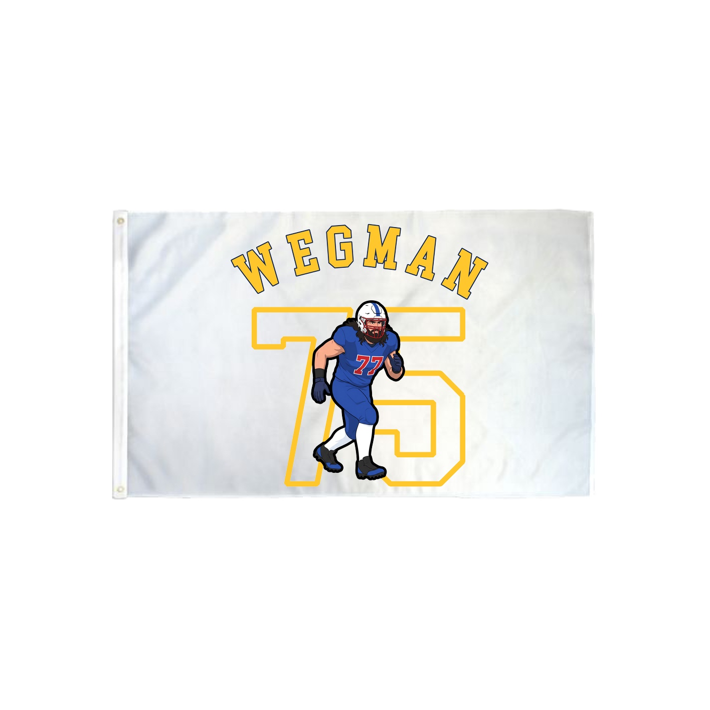 3x5 Flag — Shirsey Arch in Classic