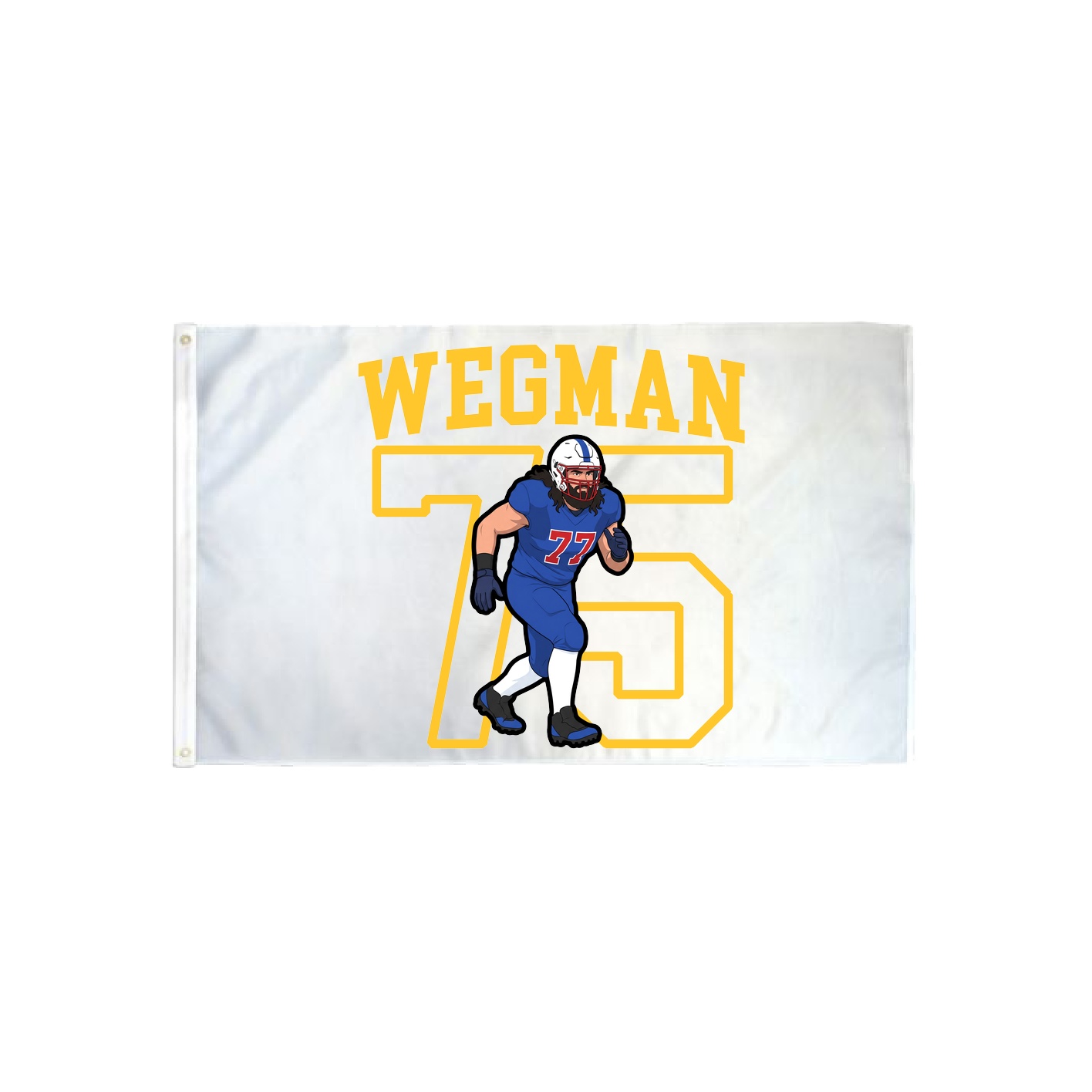 3x5 Flag — Shirsey in Classic