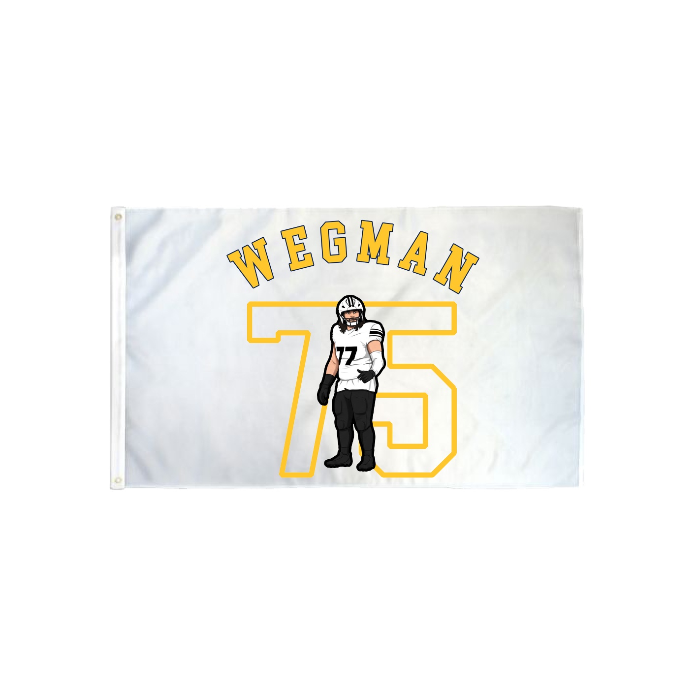 3x5 Flag — Shirsey Arch in Classic