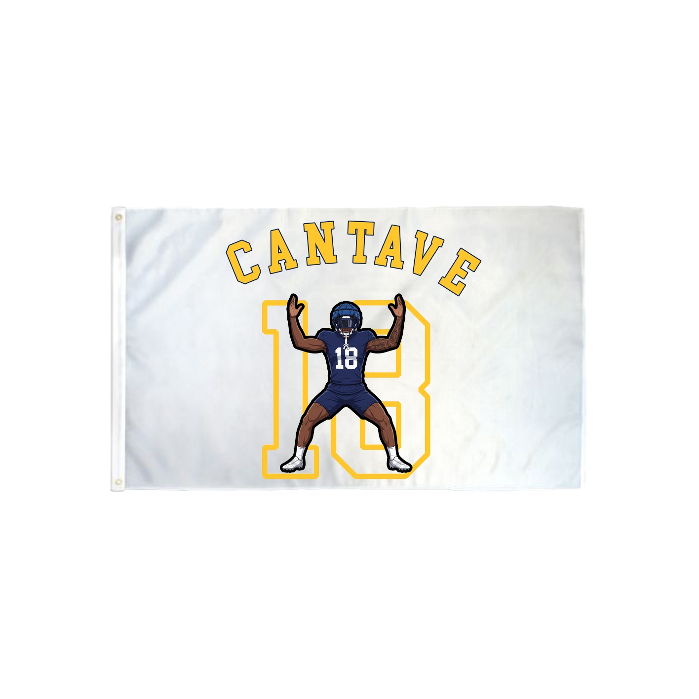 3x5 Flag — Shirsey Arch in Classic