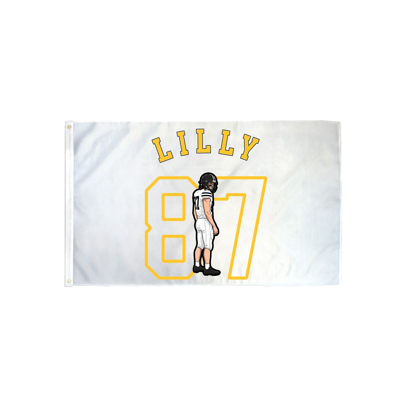 3x5 Flag — Shirsey Arch in Classic