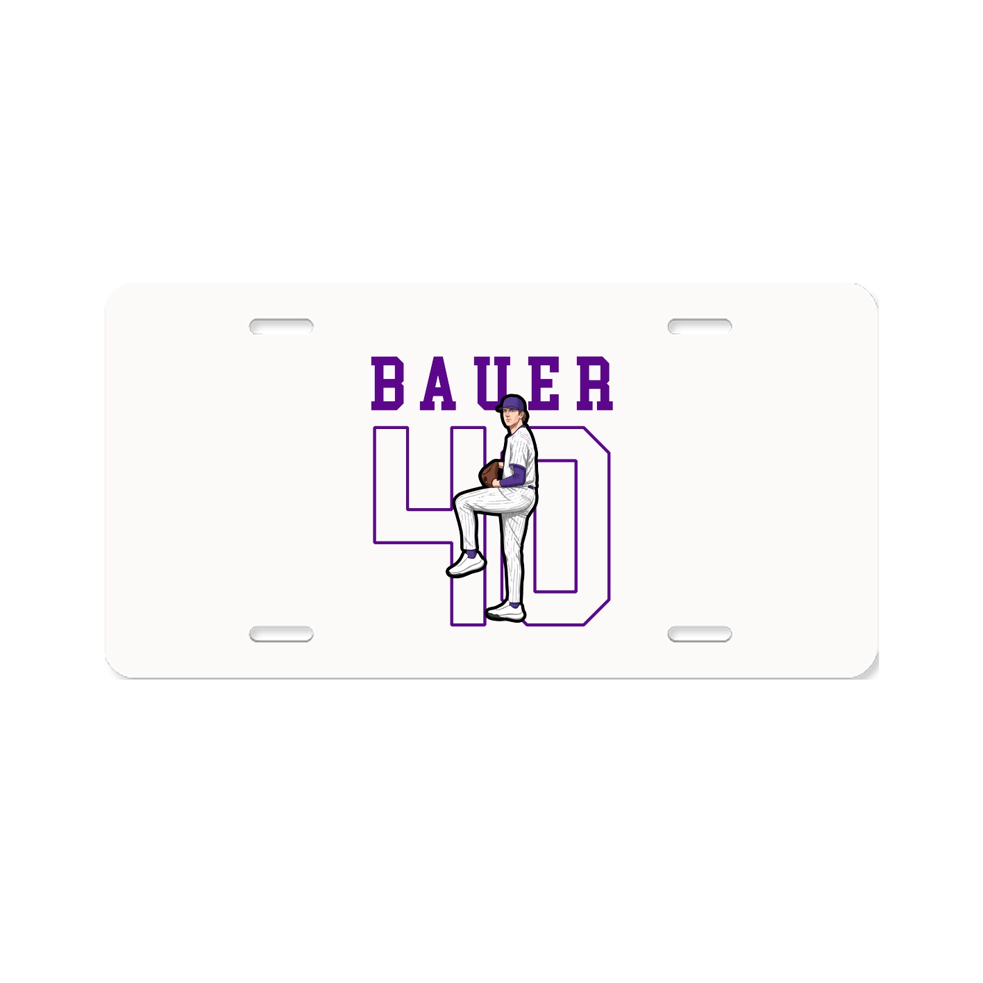 Aluminum License Plate