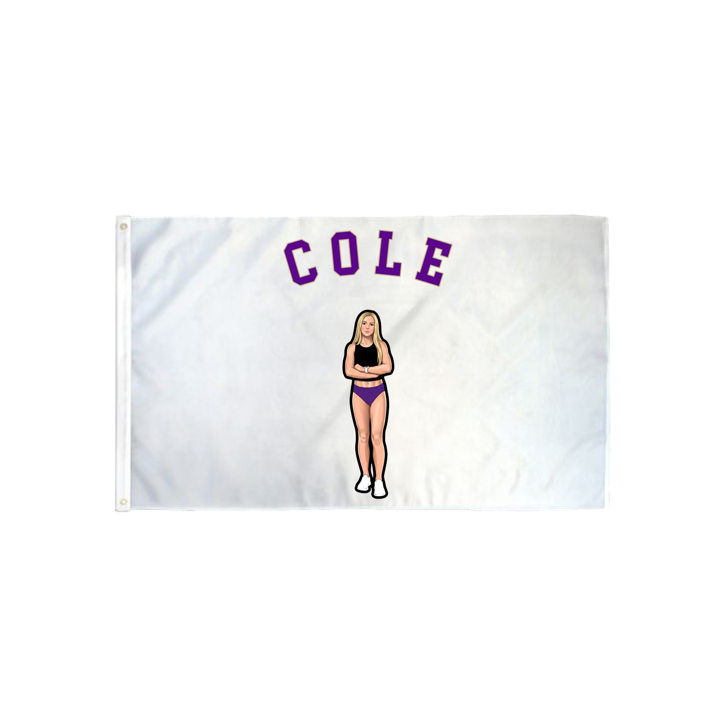 3x5 Flag — Shirsey Arch in Classic