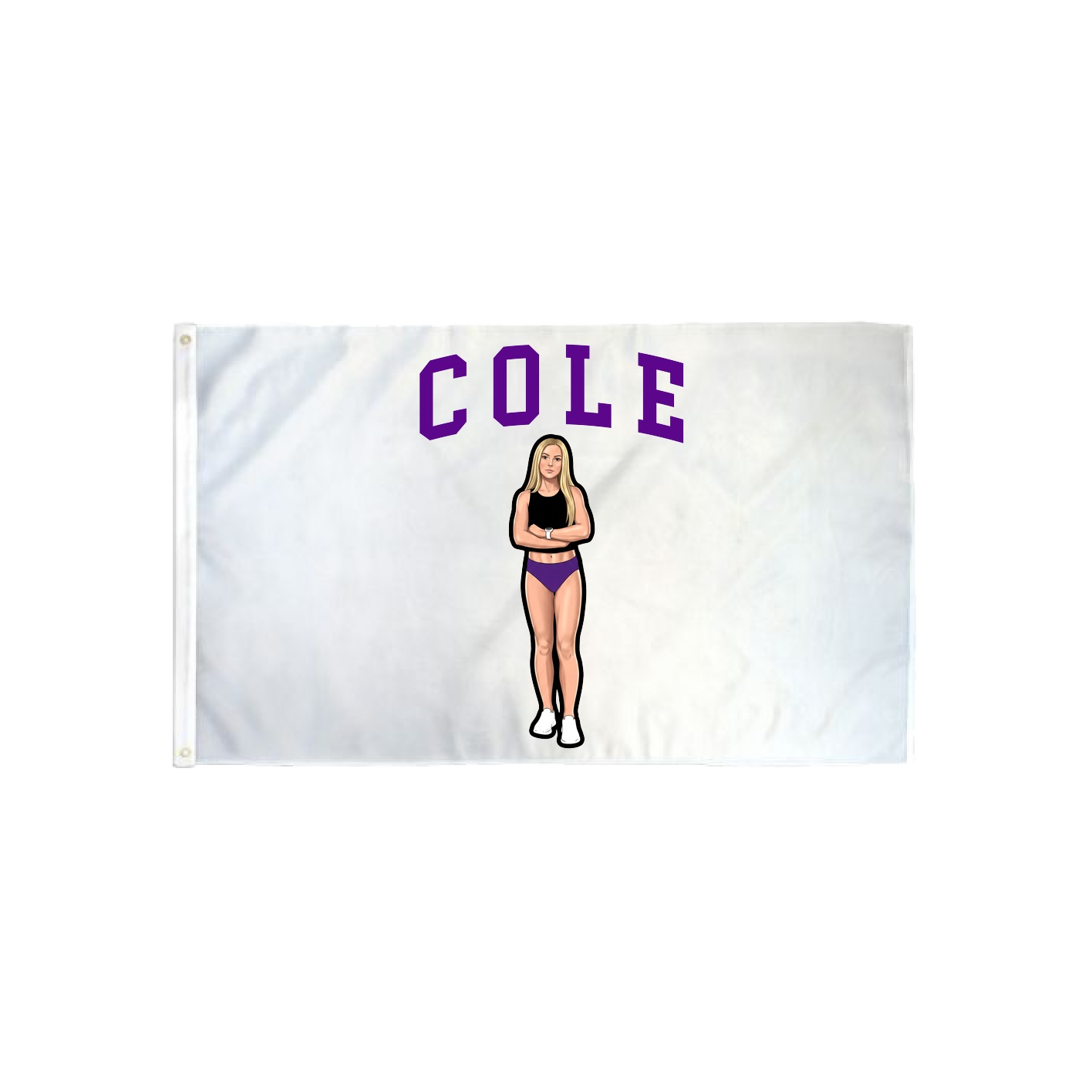 3x5 Flag — Shirsey in Classic
