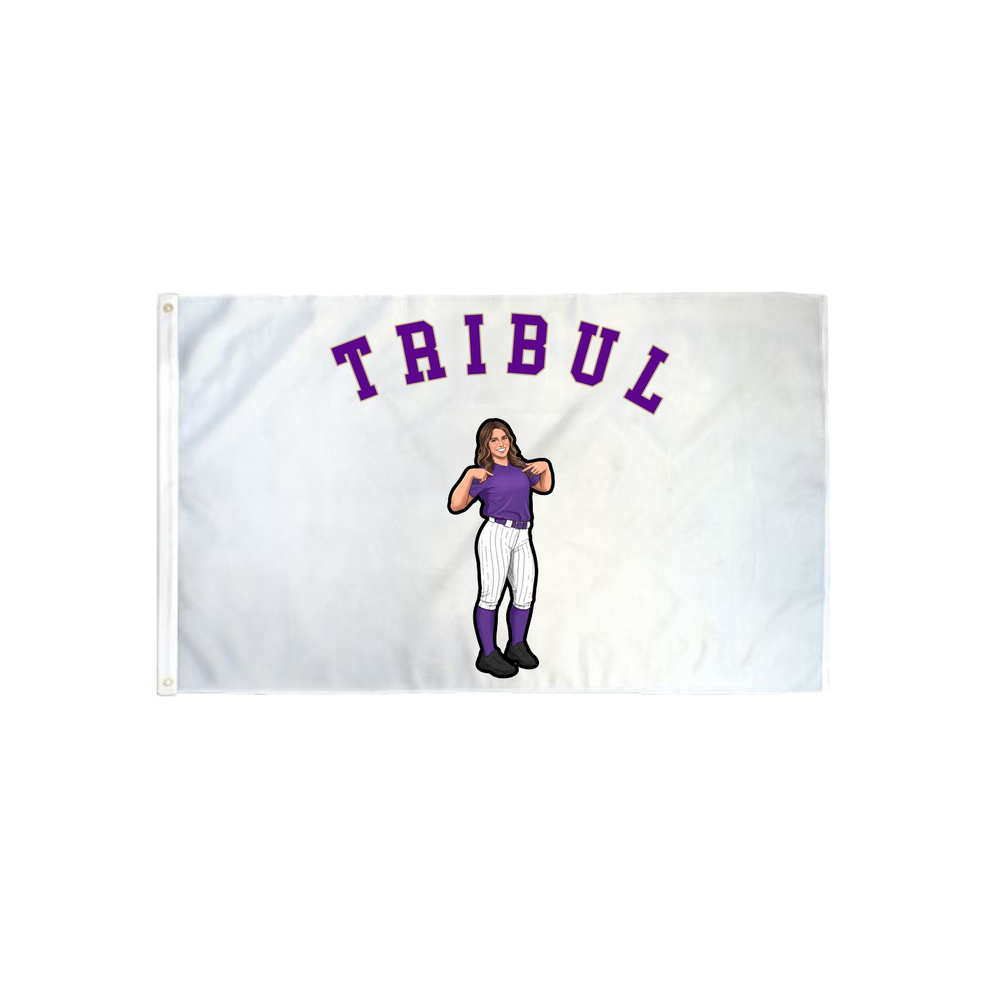 3x5 Flag — Shirsey Arch in Classic