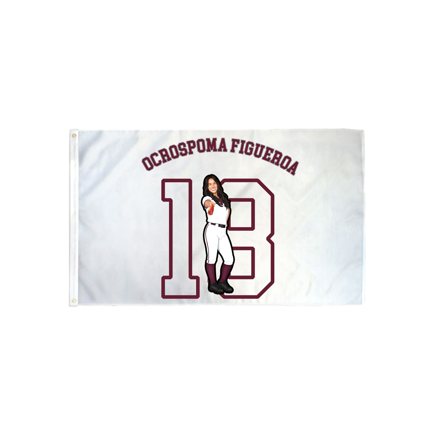 3x5 Flag — Shirsey Arch in Classic