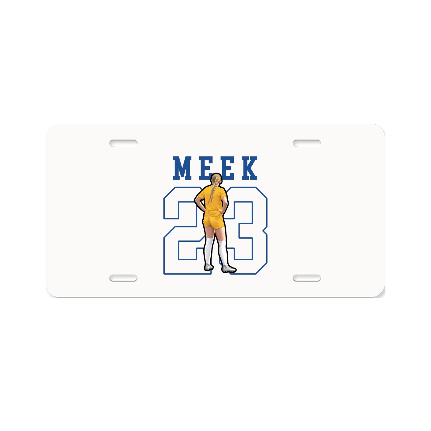 License Plate