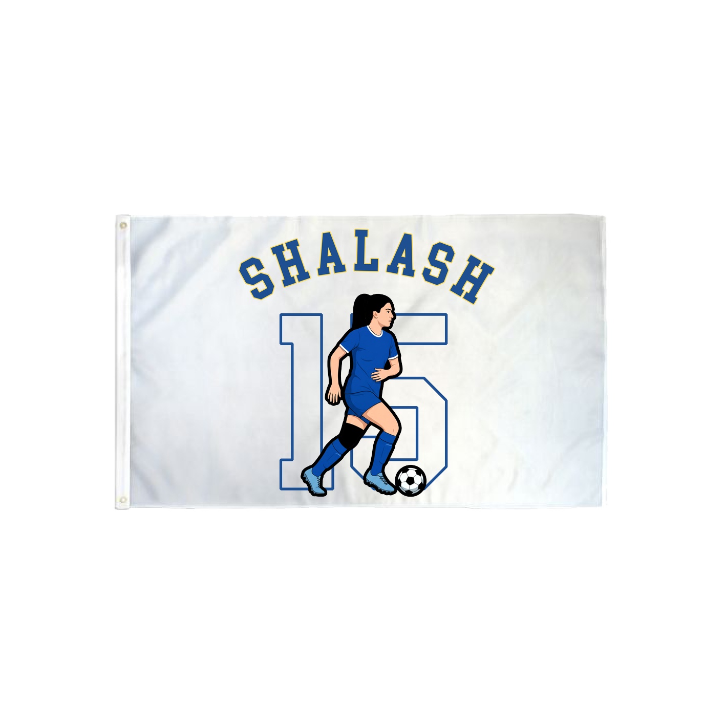3x5 Flag — Shirsey Arch in Classic