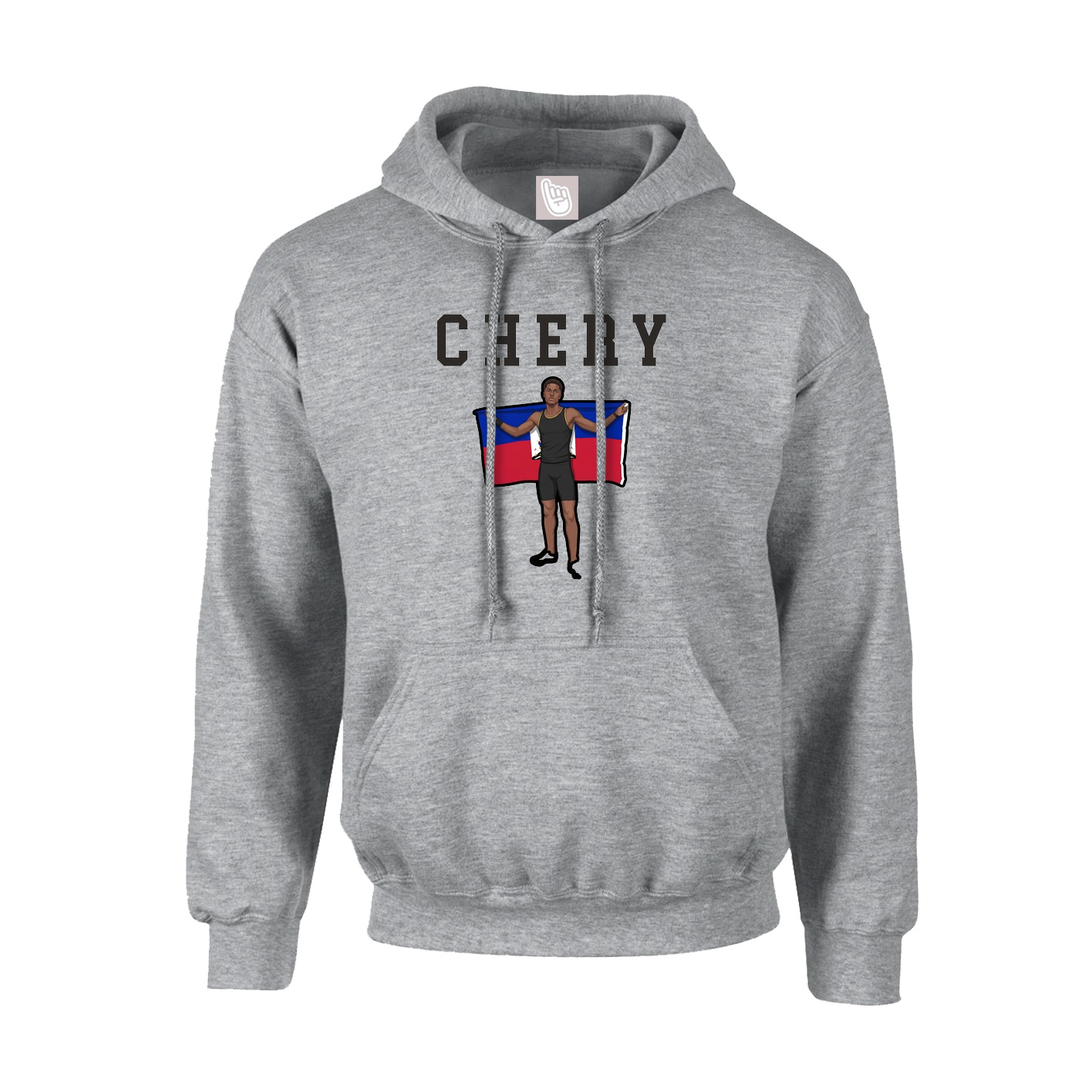 Hoodie — Shirsey in Grey