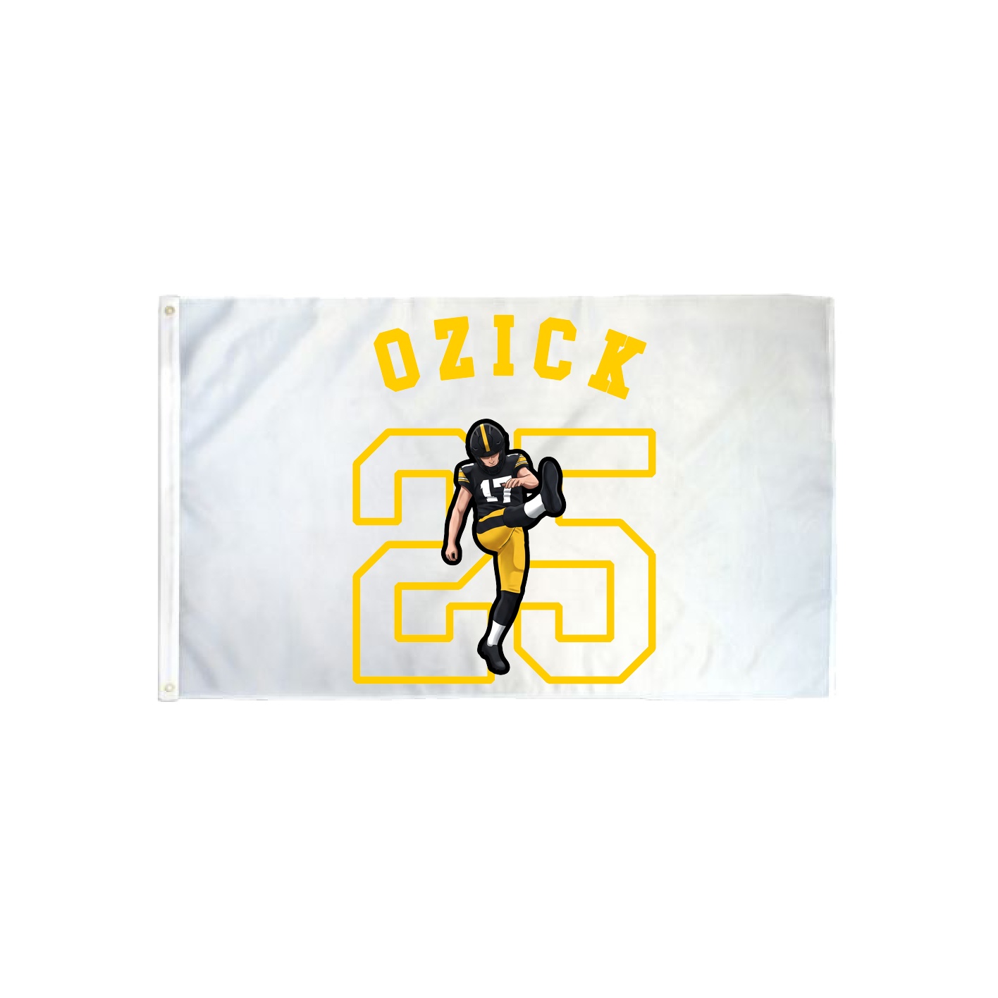 3x5 Flag — Shirsey Arch in Classic