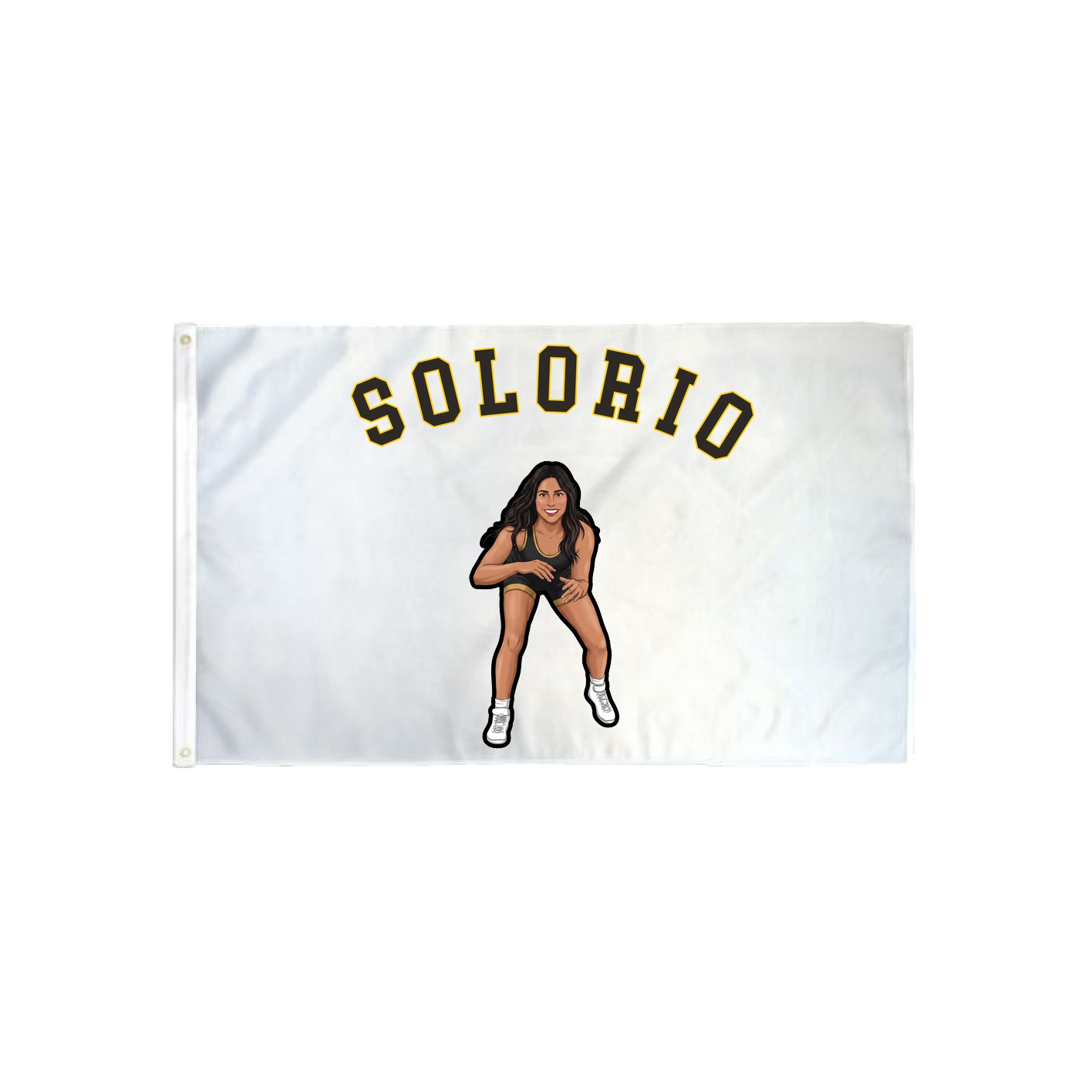 3x5 Flag — Shirsey Arch in Classic