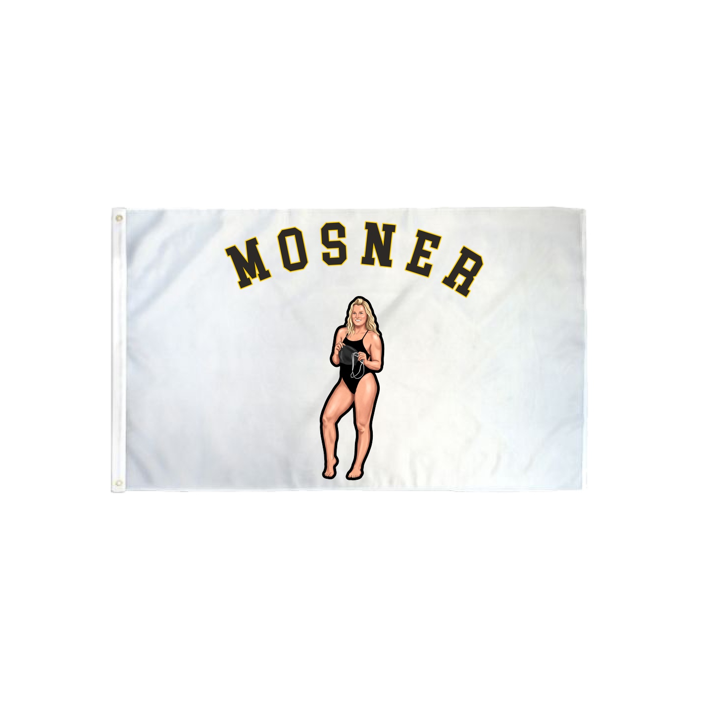 3x5 Flag — Shirsey Arch in Classic