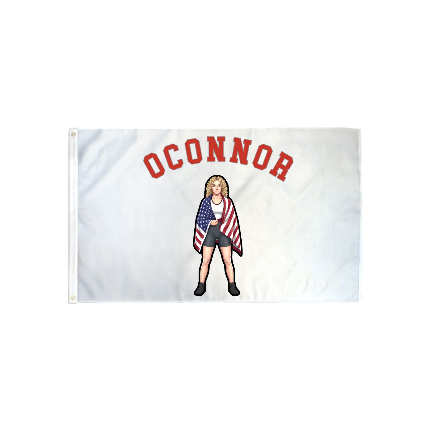 3x5 Flag — Shirsey Arch in Classic