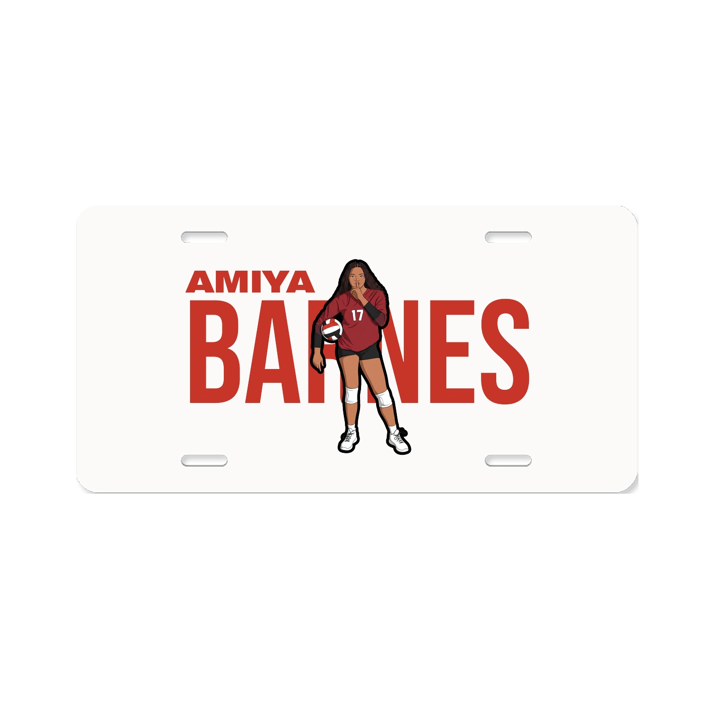 License Plate