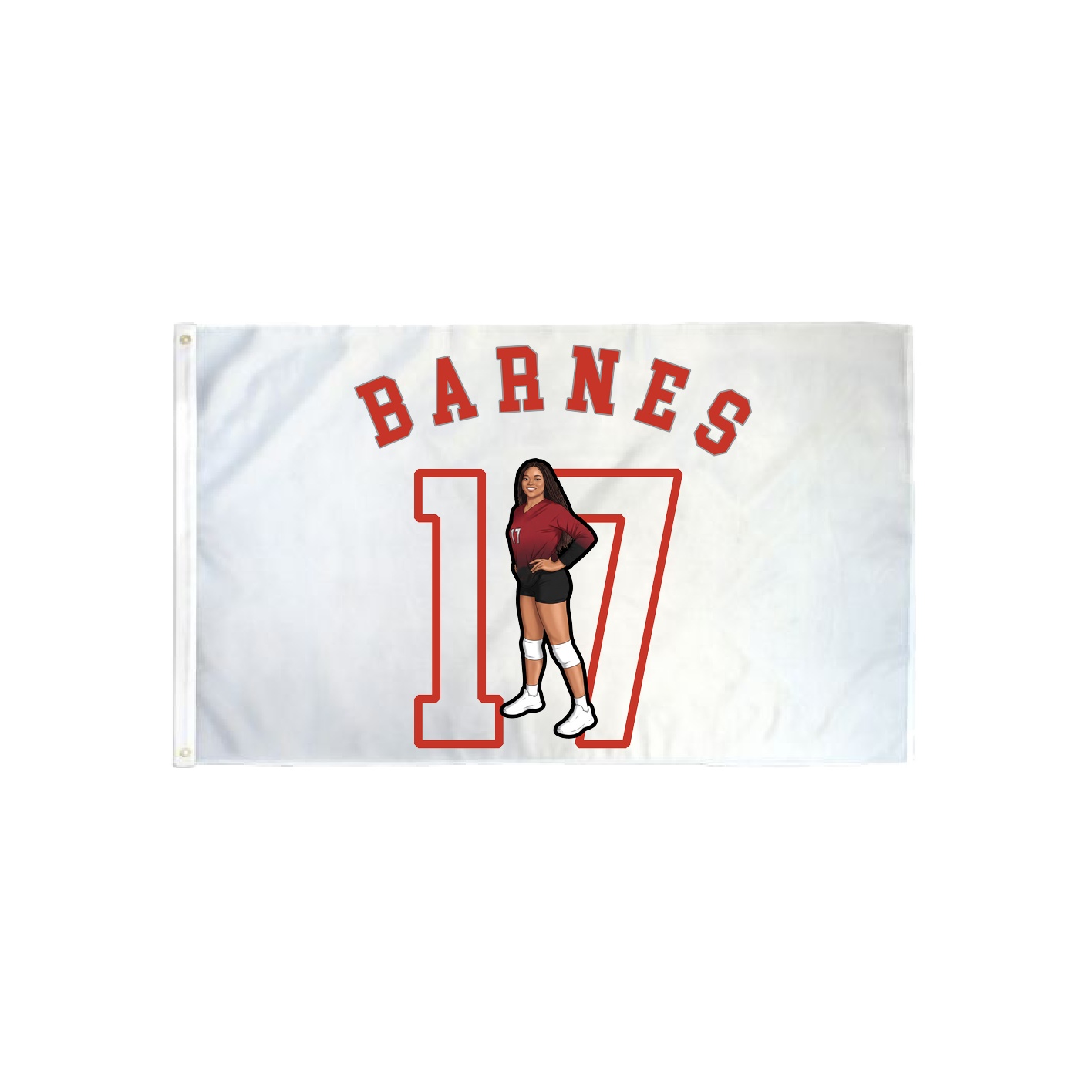 3x5 Flag — Shirsey Arch in Classic