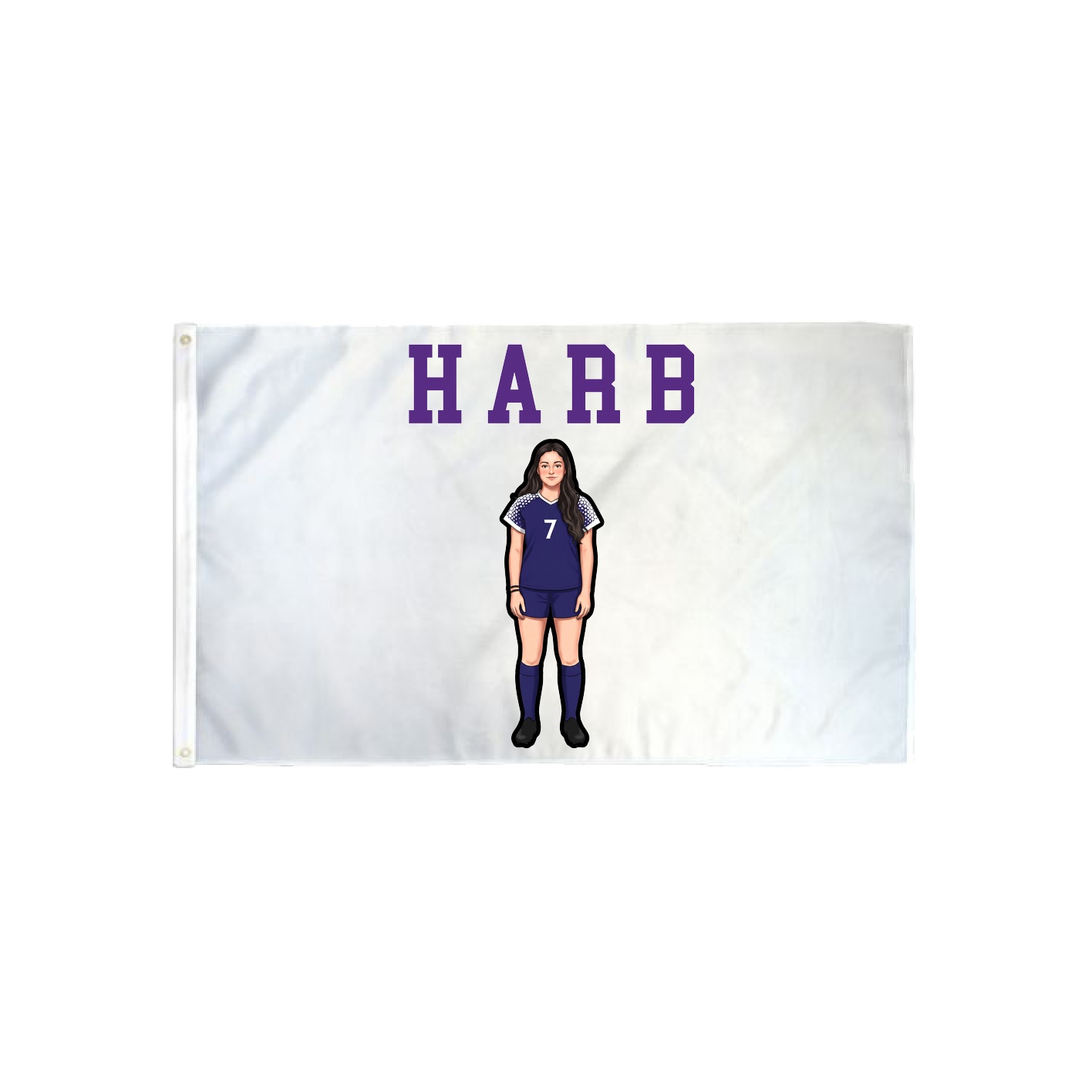 3x5 Flag — Shirsey in Classic
