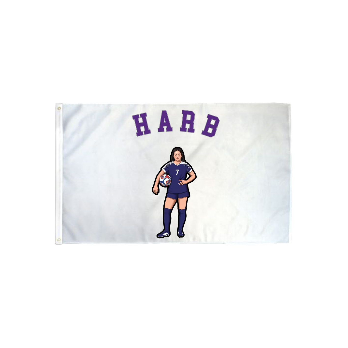 3x5 Flag — Shirsey Arch in Classic
