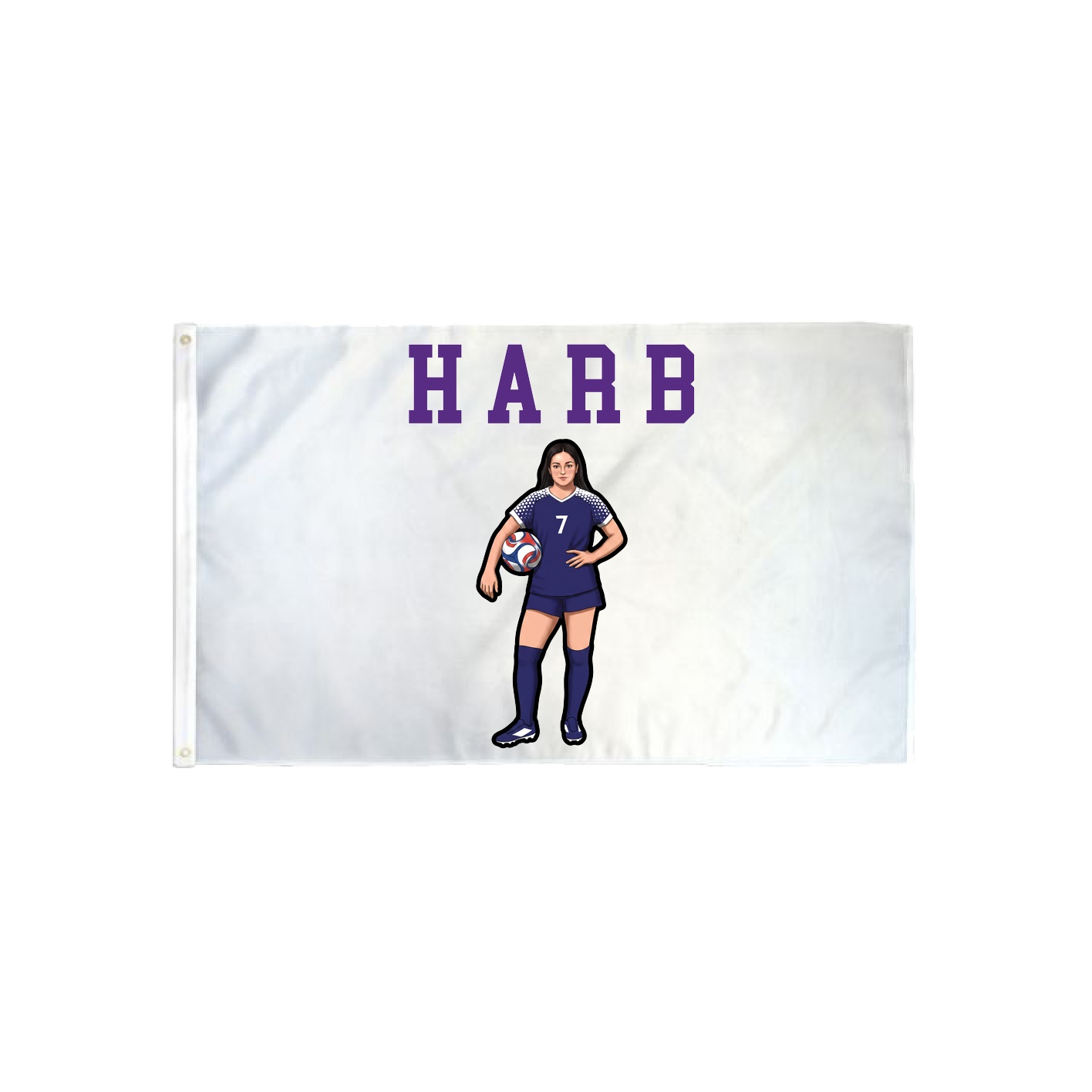 3x5 Flag — Shirsey in Classic