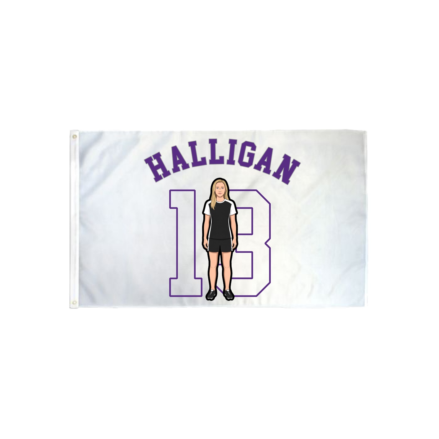 3x5 Flag — Shirsey Arch in Classic