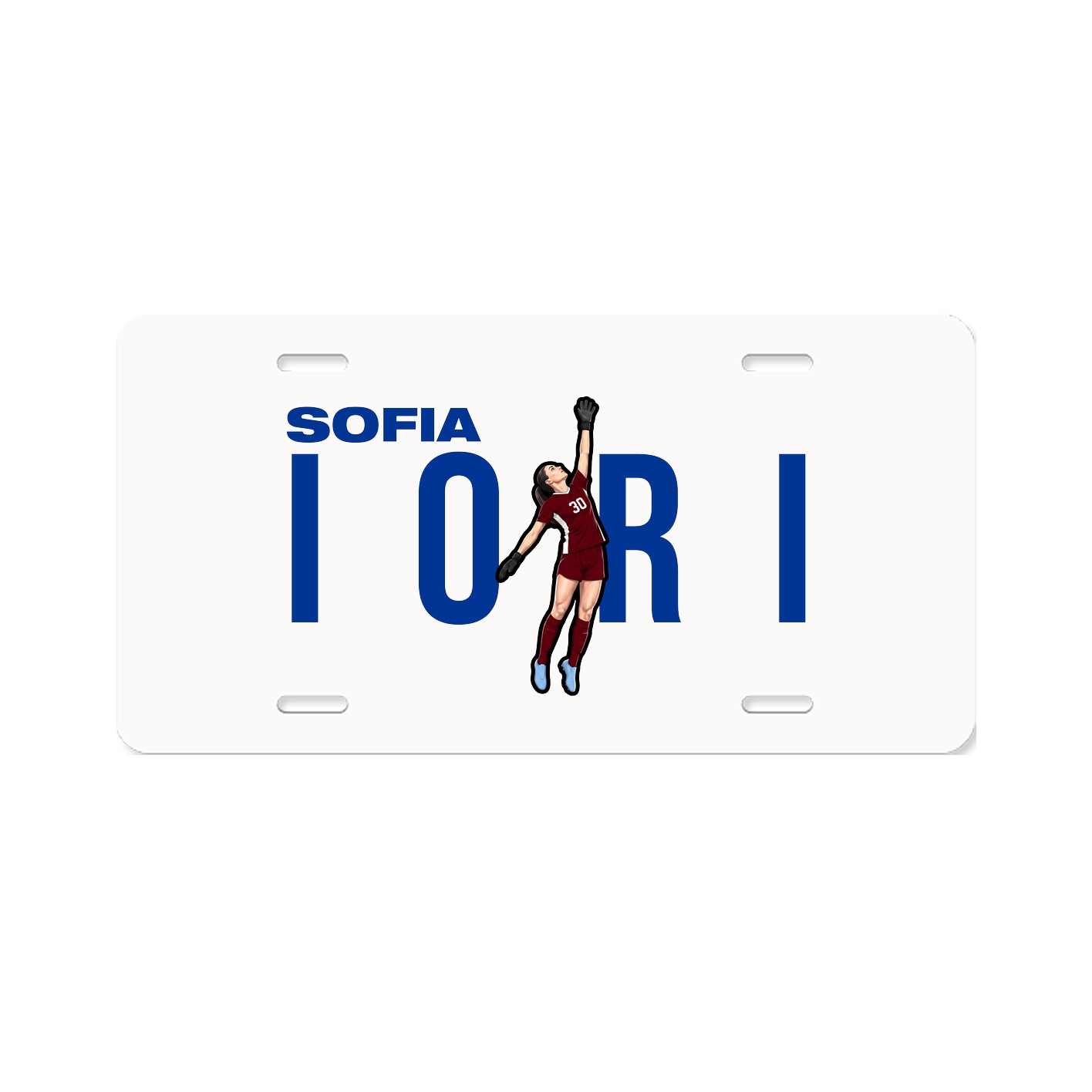 License Plate