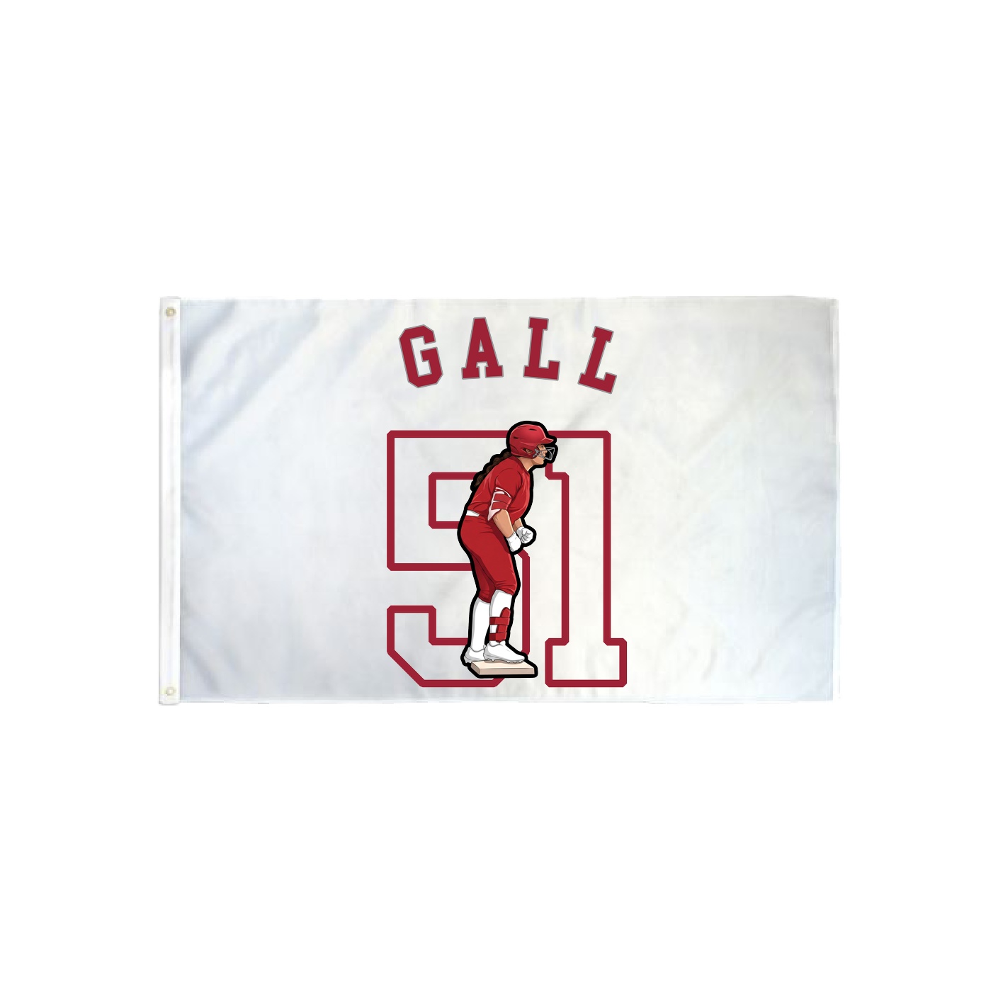 3x5 Flag — Shirsey Arch in Classic