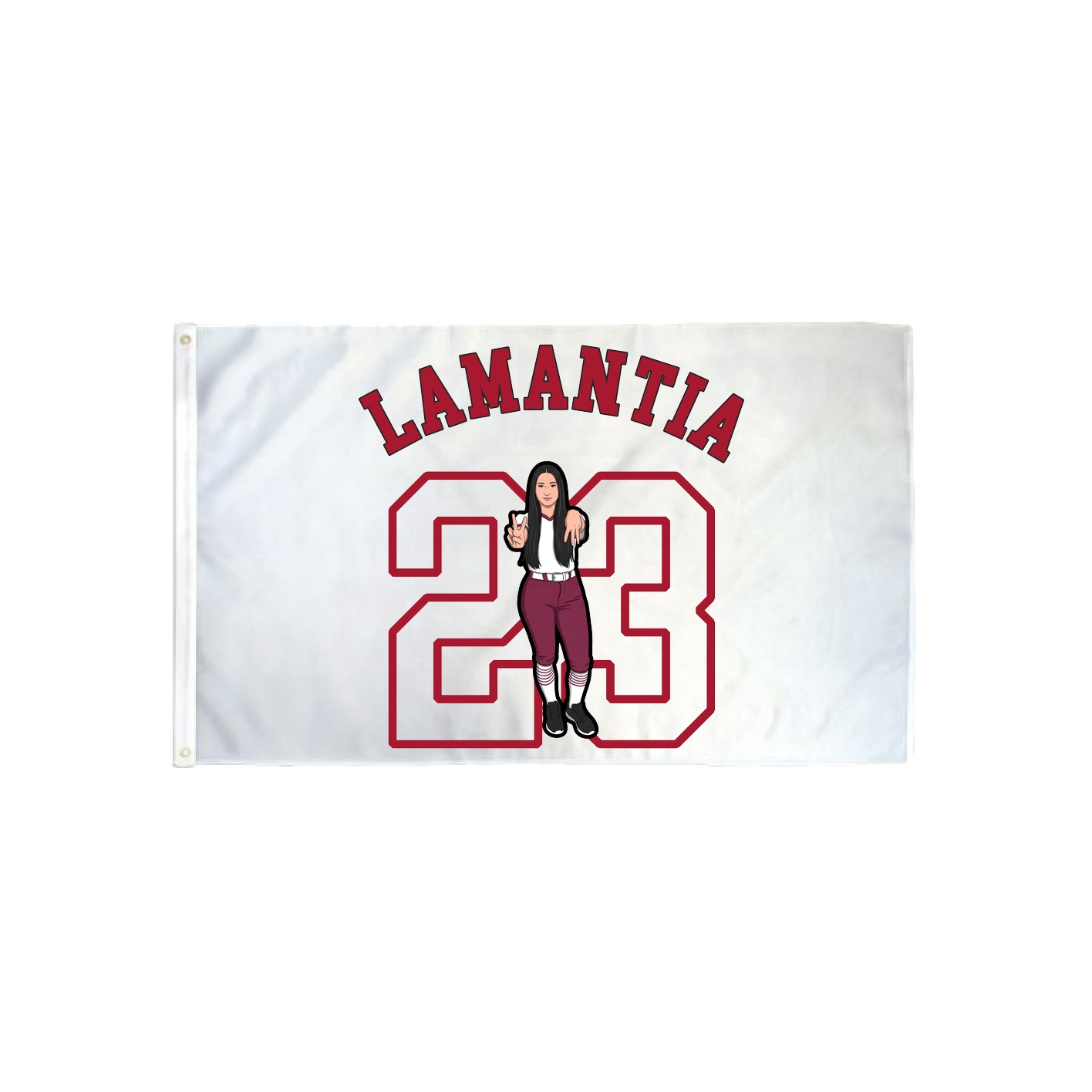 3x5 Flag — Shirsey Arch in Classic