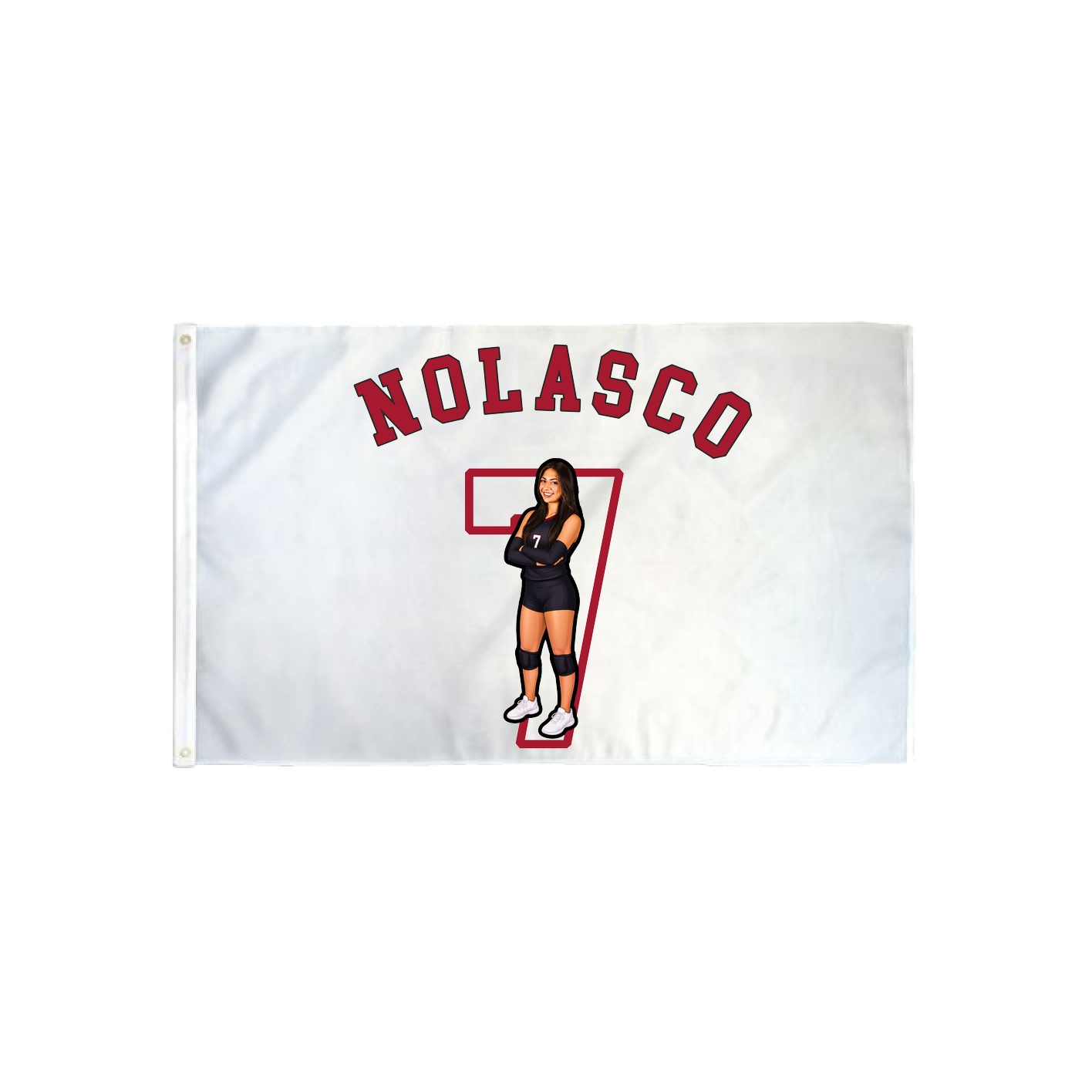 3x5 Flag — Shirsey Arch in Classic