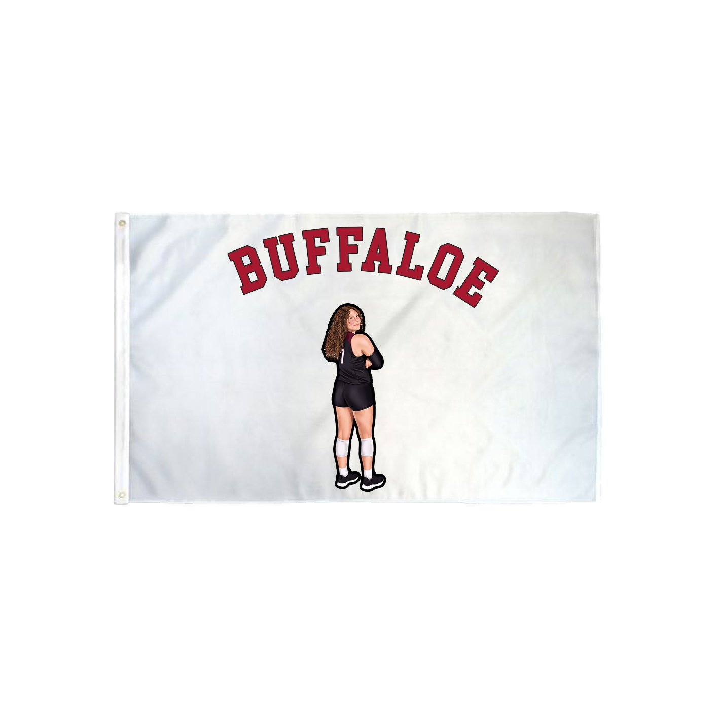 3x5 Flag — Shirsey Arch in Classic