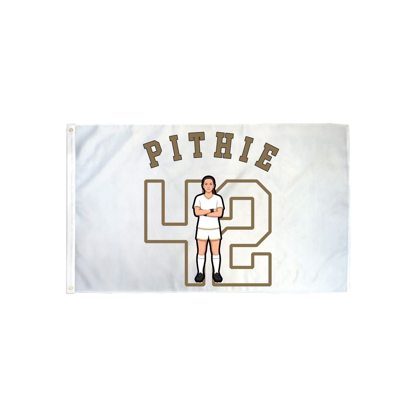 3x5 Flag — Shirsey Arch in Classic