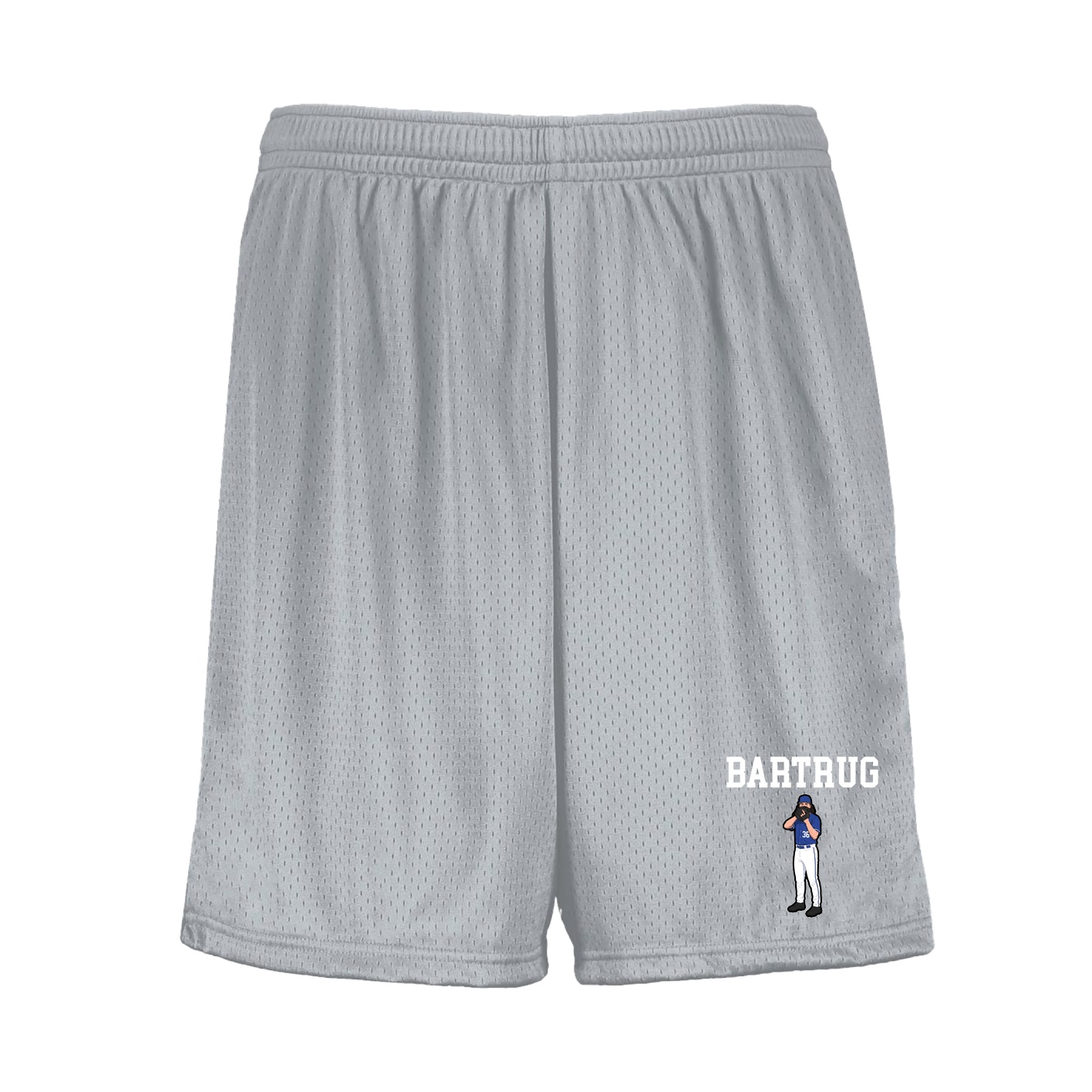 Shorts — Shirsey in Silver