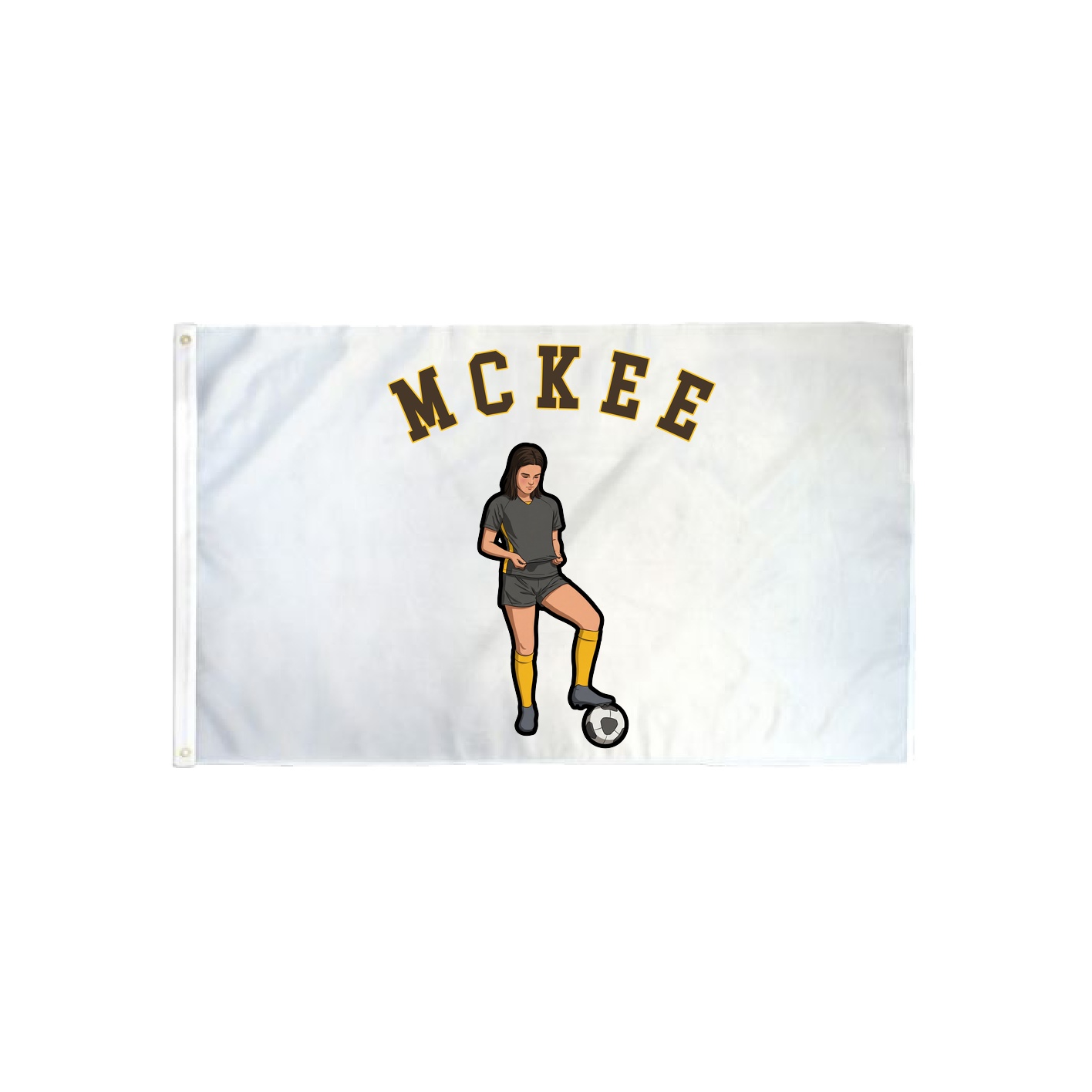 3x5 Flag — Shirsey Arch in Classic