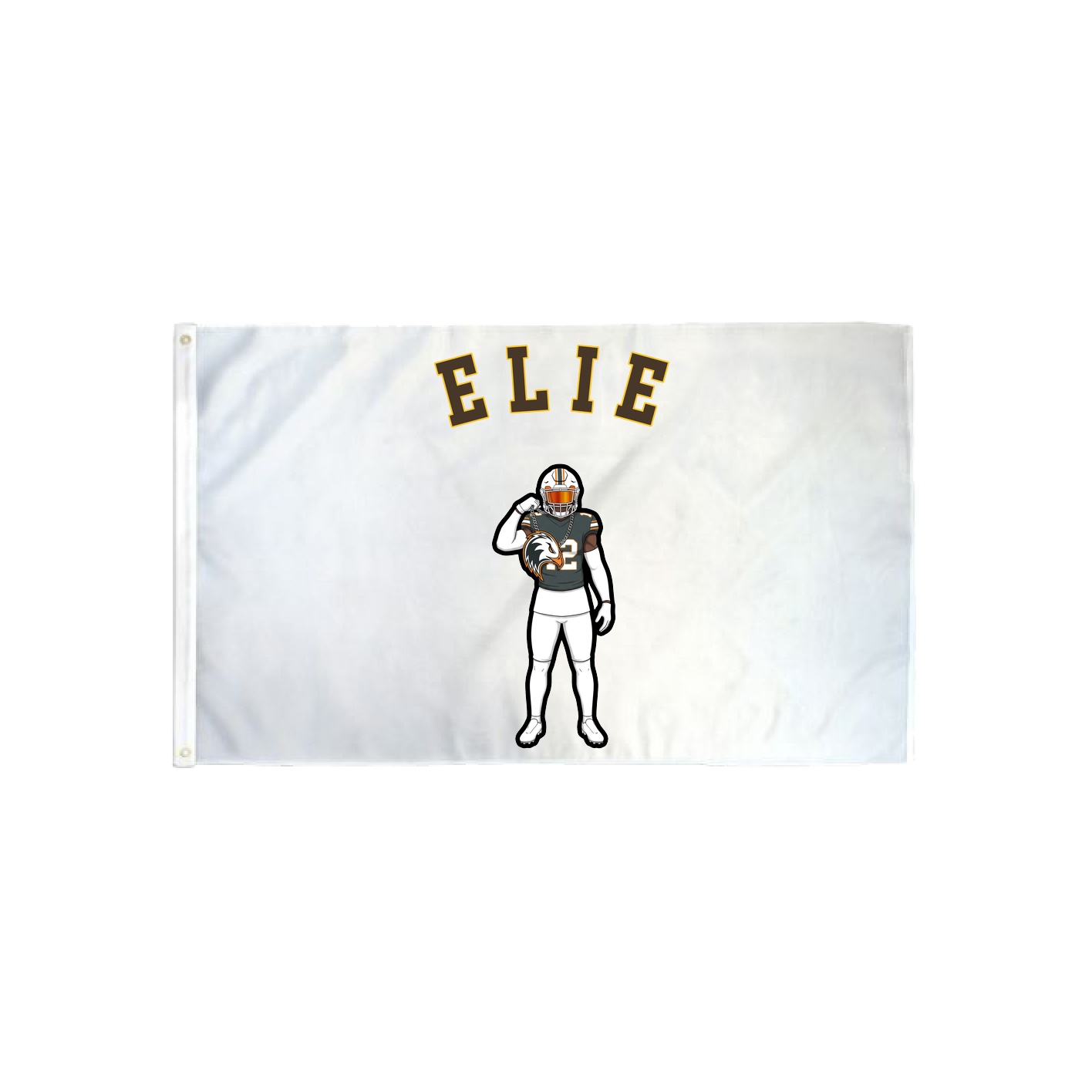 3x5 Flag — Shirsey Arch in Classic