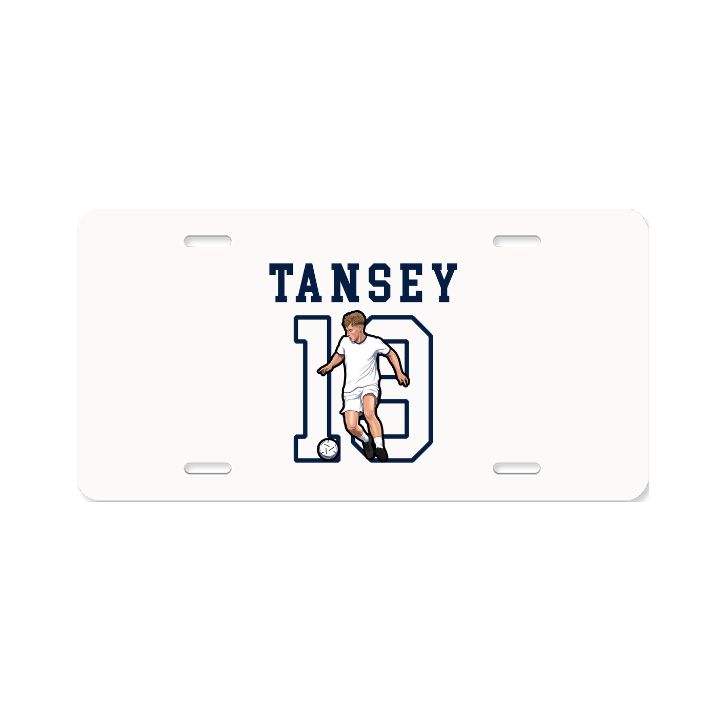 License Plate