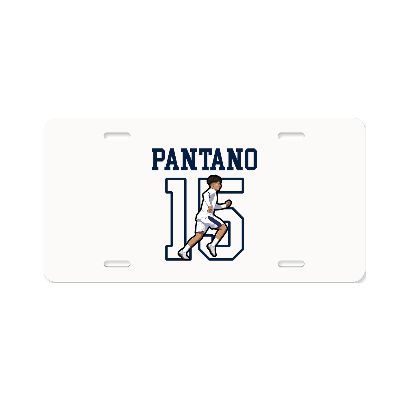 License Plate