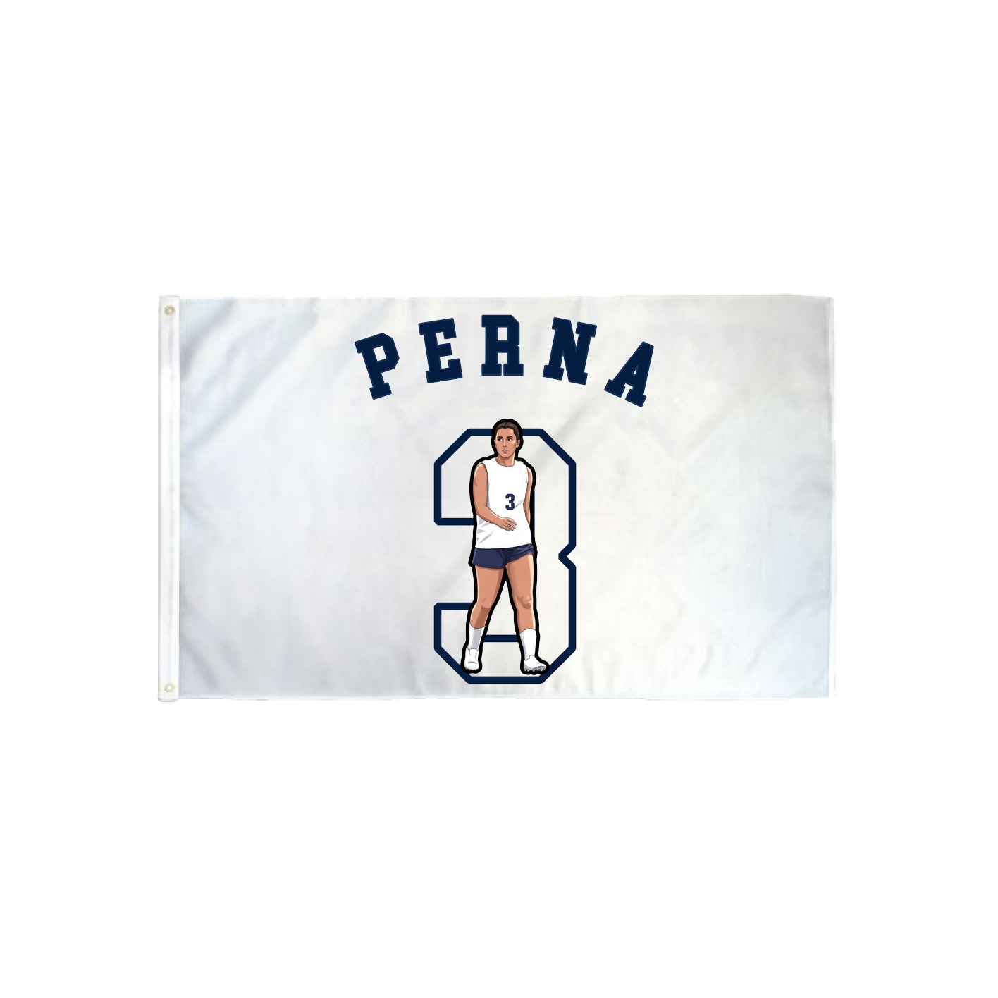 3x5 Flag — Shirsey Arch in Classic