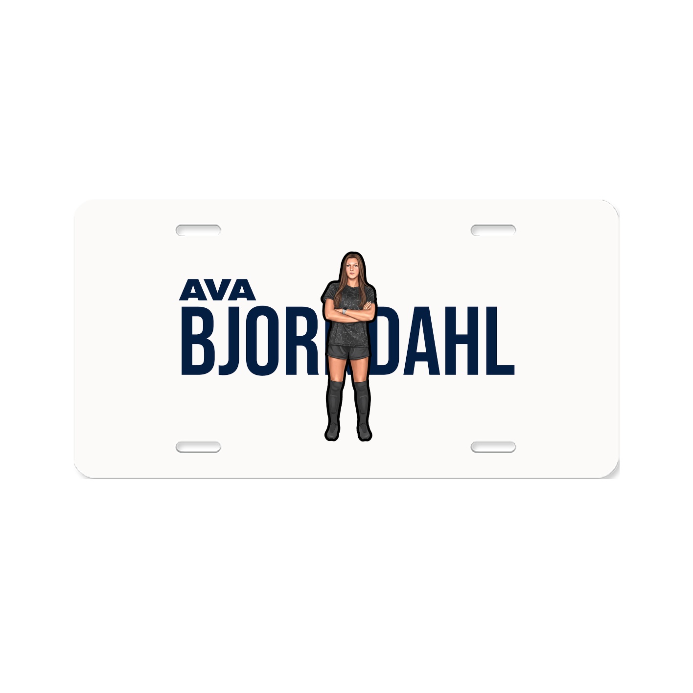 License Plate