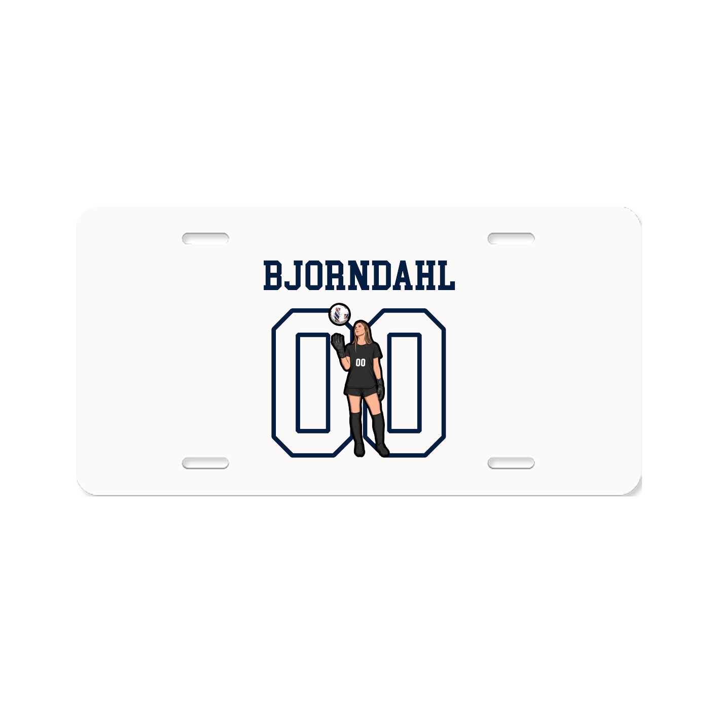 License Plate