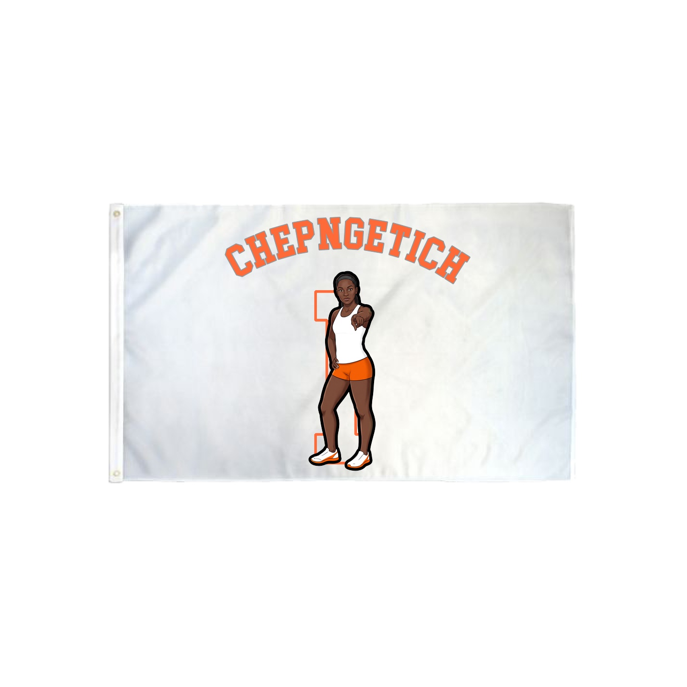 3x5 Flag — Shirsey Arch in Classic