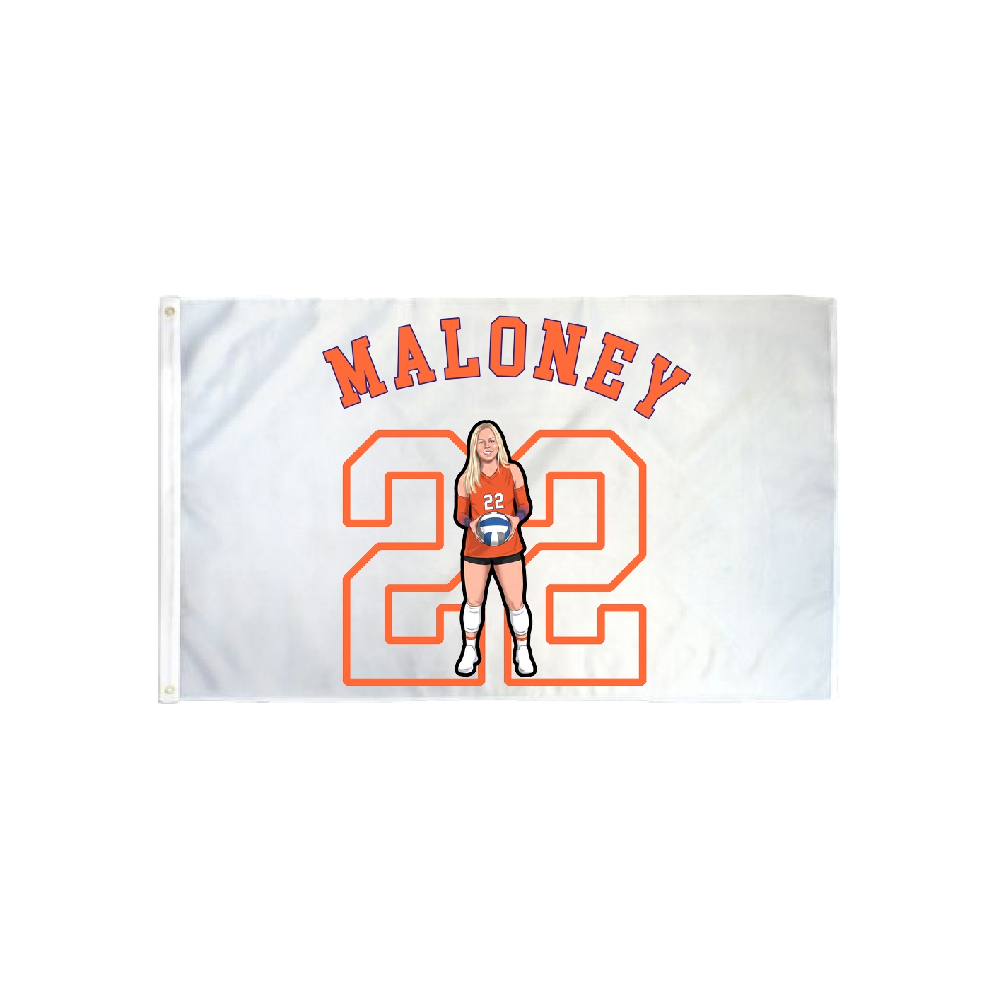 3x5 Flag — Shirsey Arch in Classic