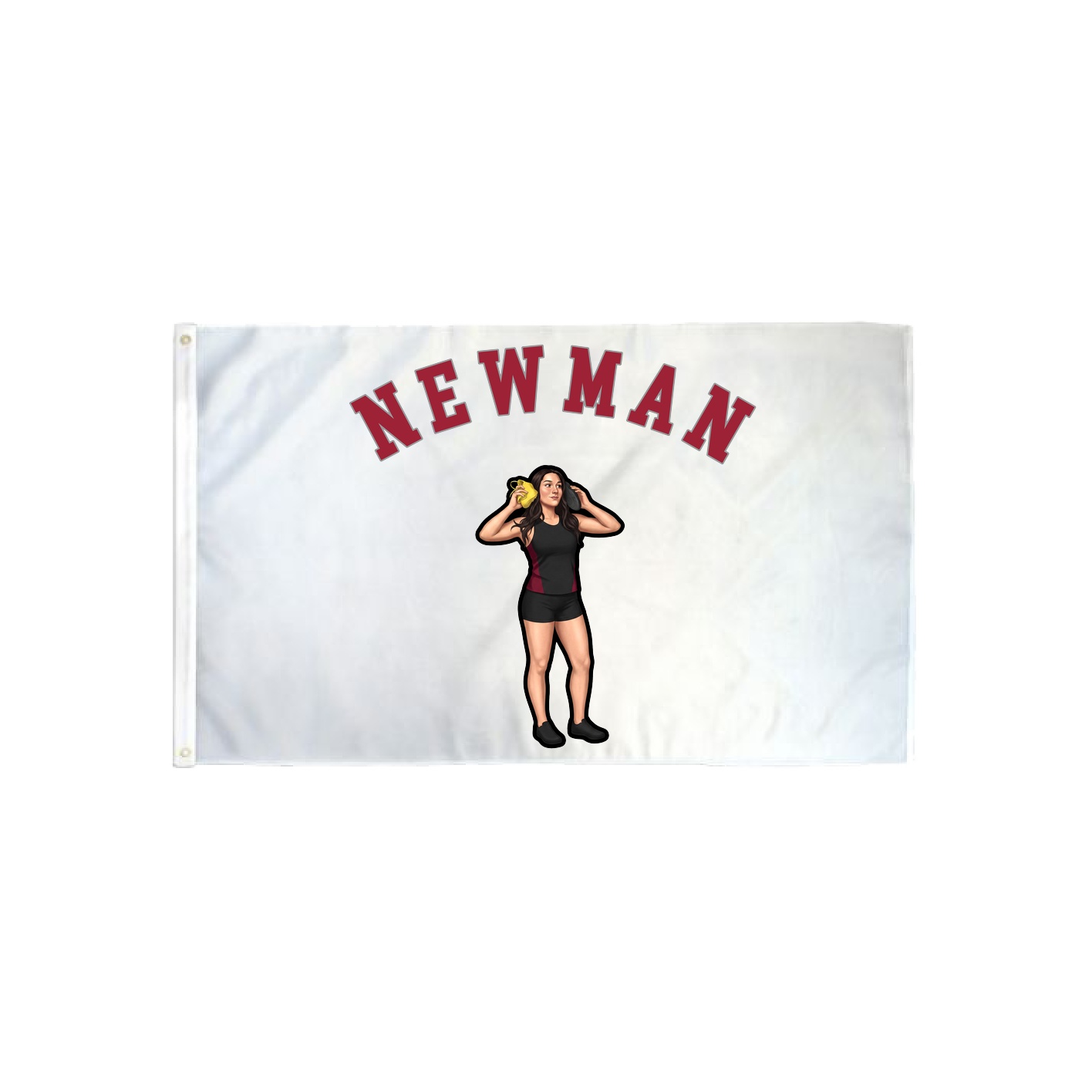 3x5 Flag — Shirsey Arch in Classic