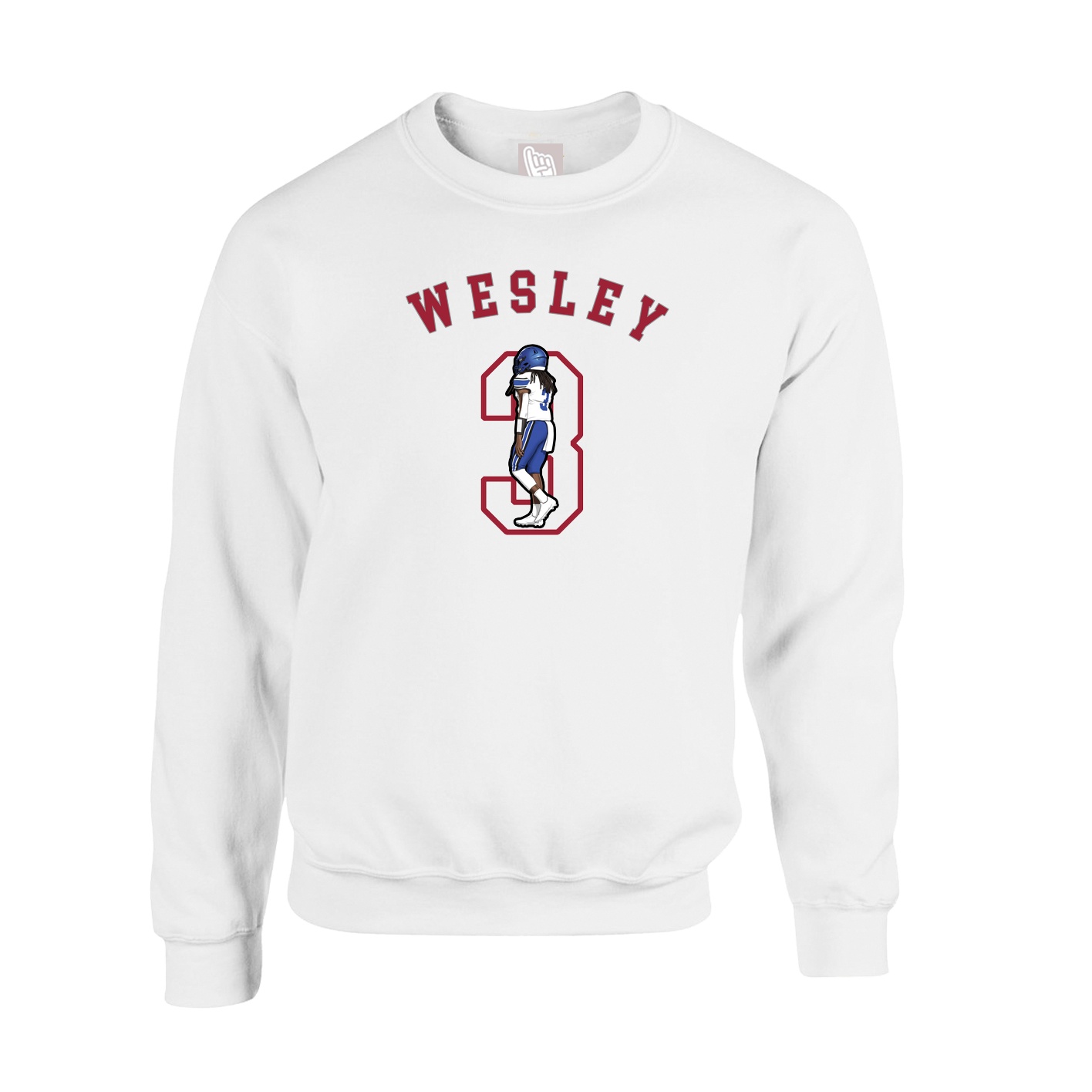 Fleece Crew — Shirsey Arch in White