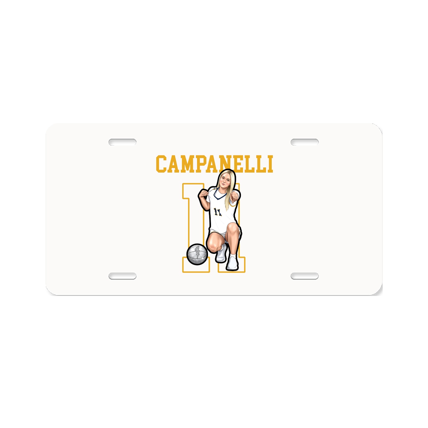 License Plate