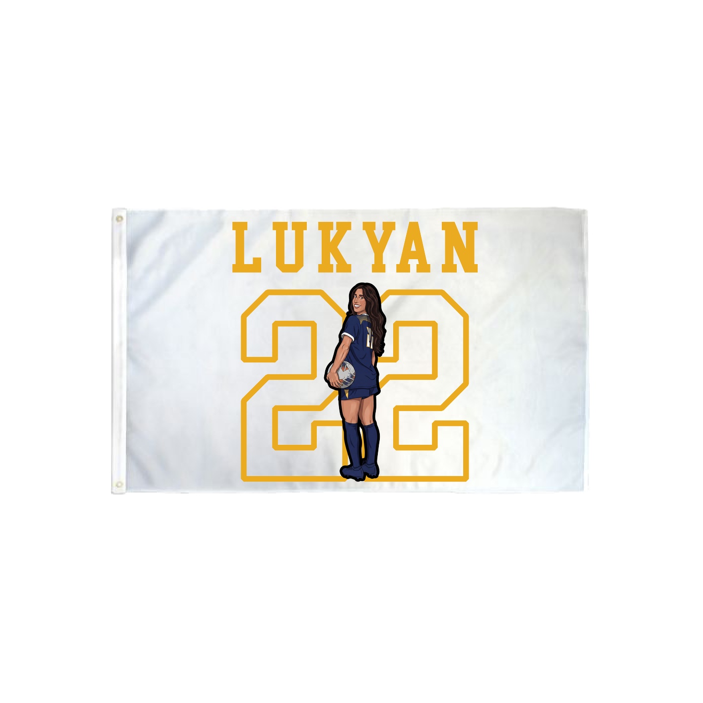 3x5 Flag — Shirsey in Classic