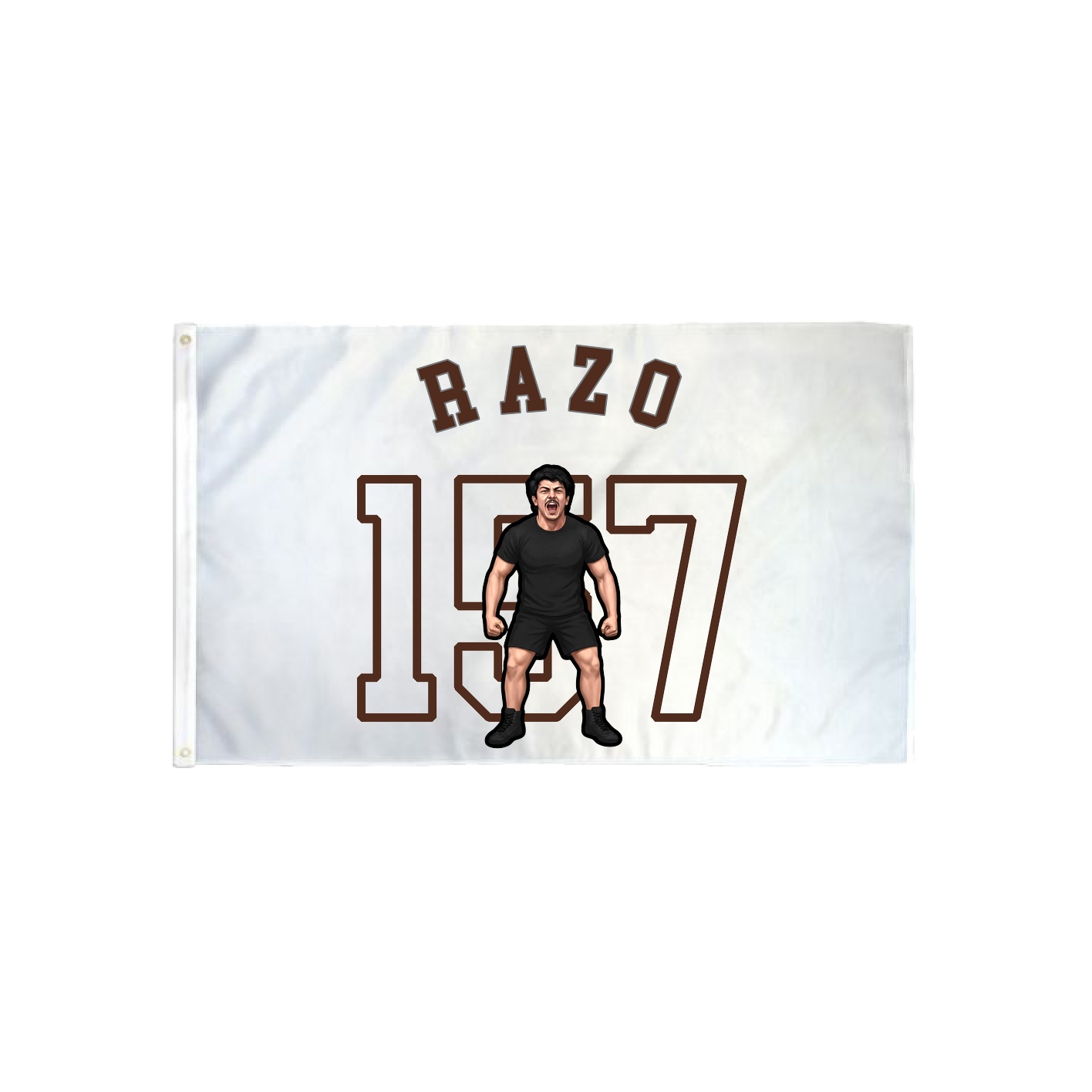 3x5 Flag — Shirsey Arch in Classic