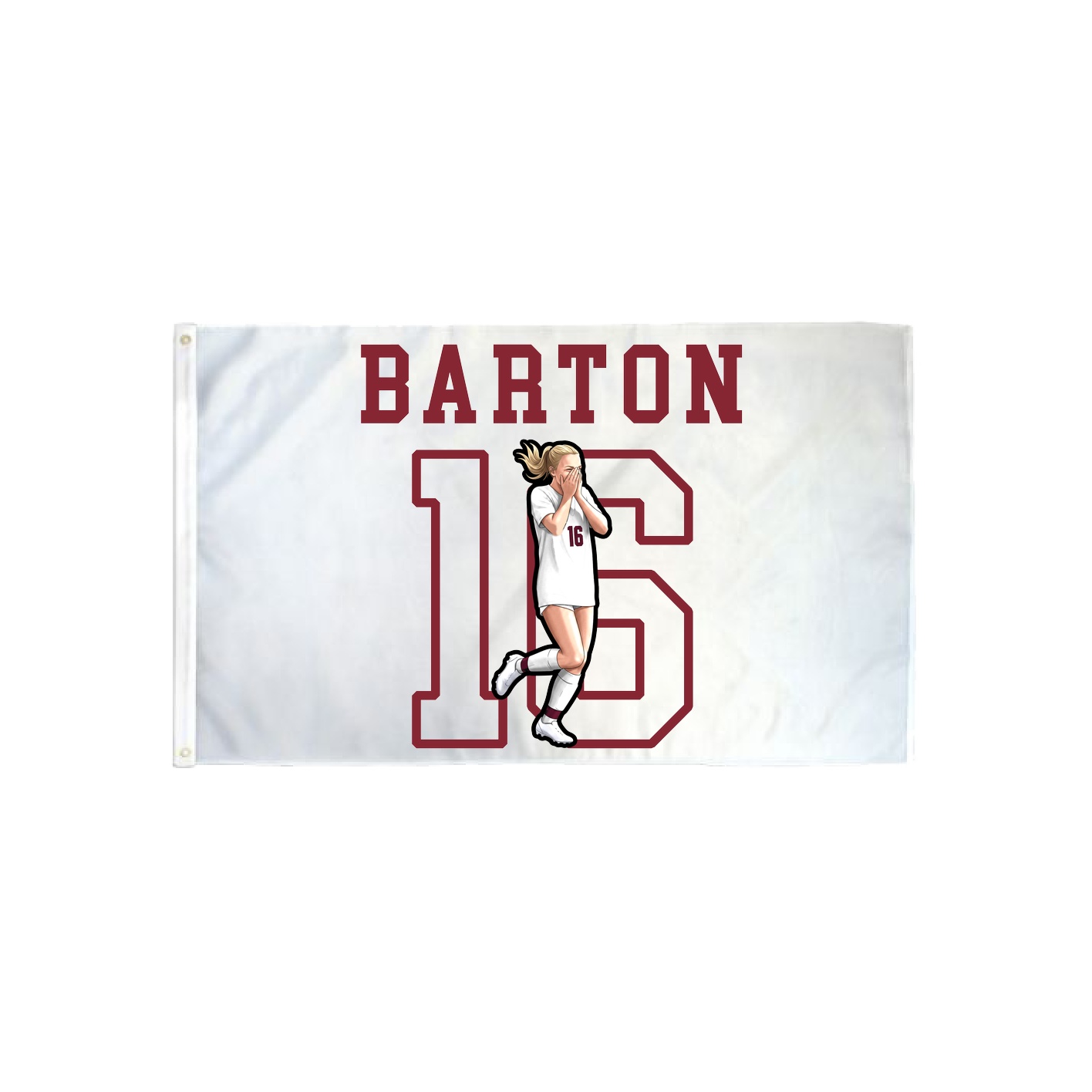 3x5 Flag — Shirsey in Classic