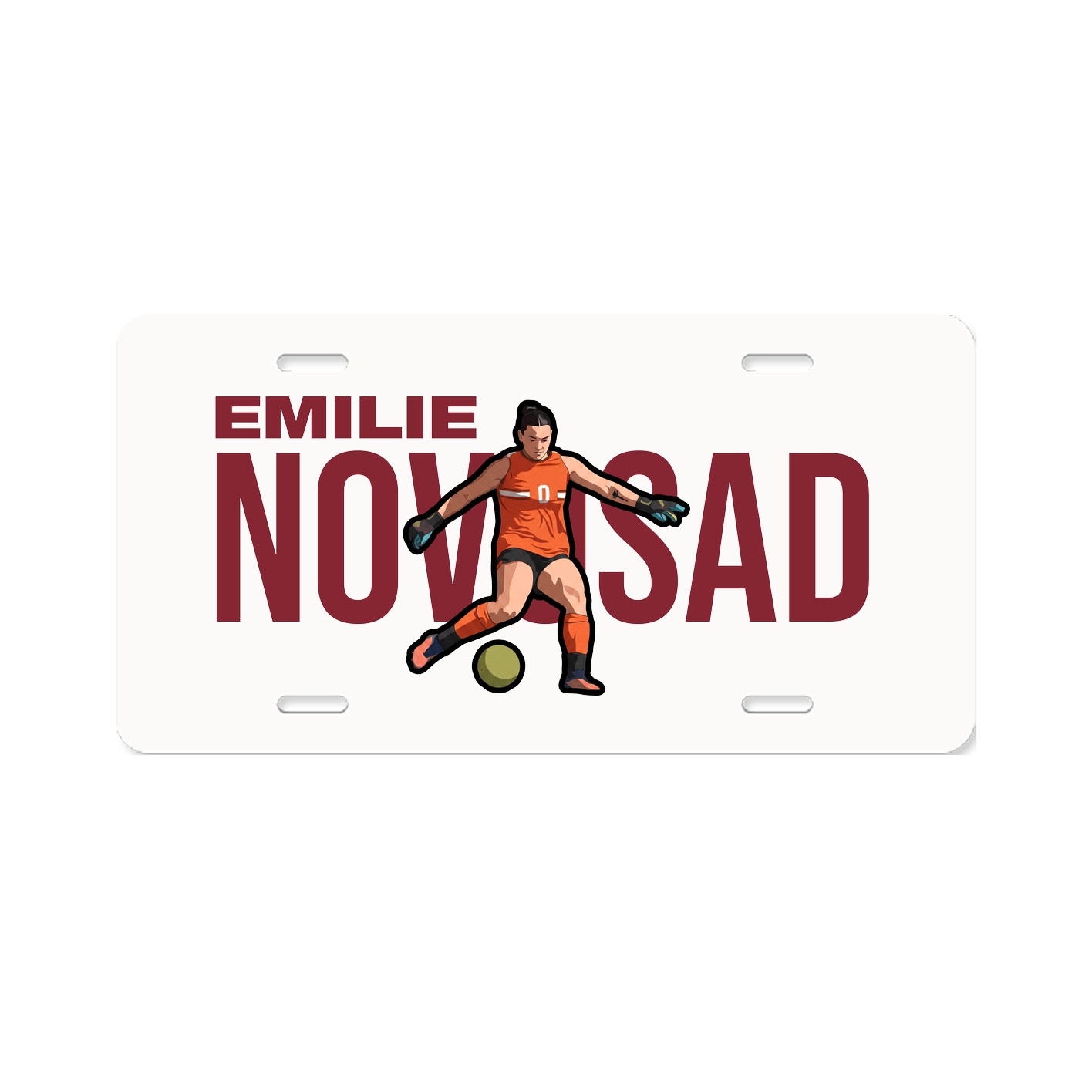 License Plate