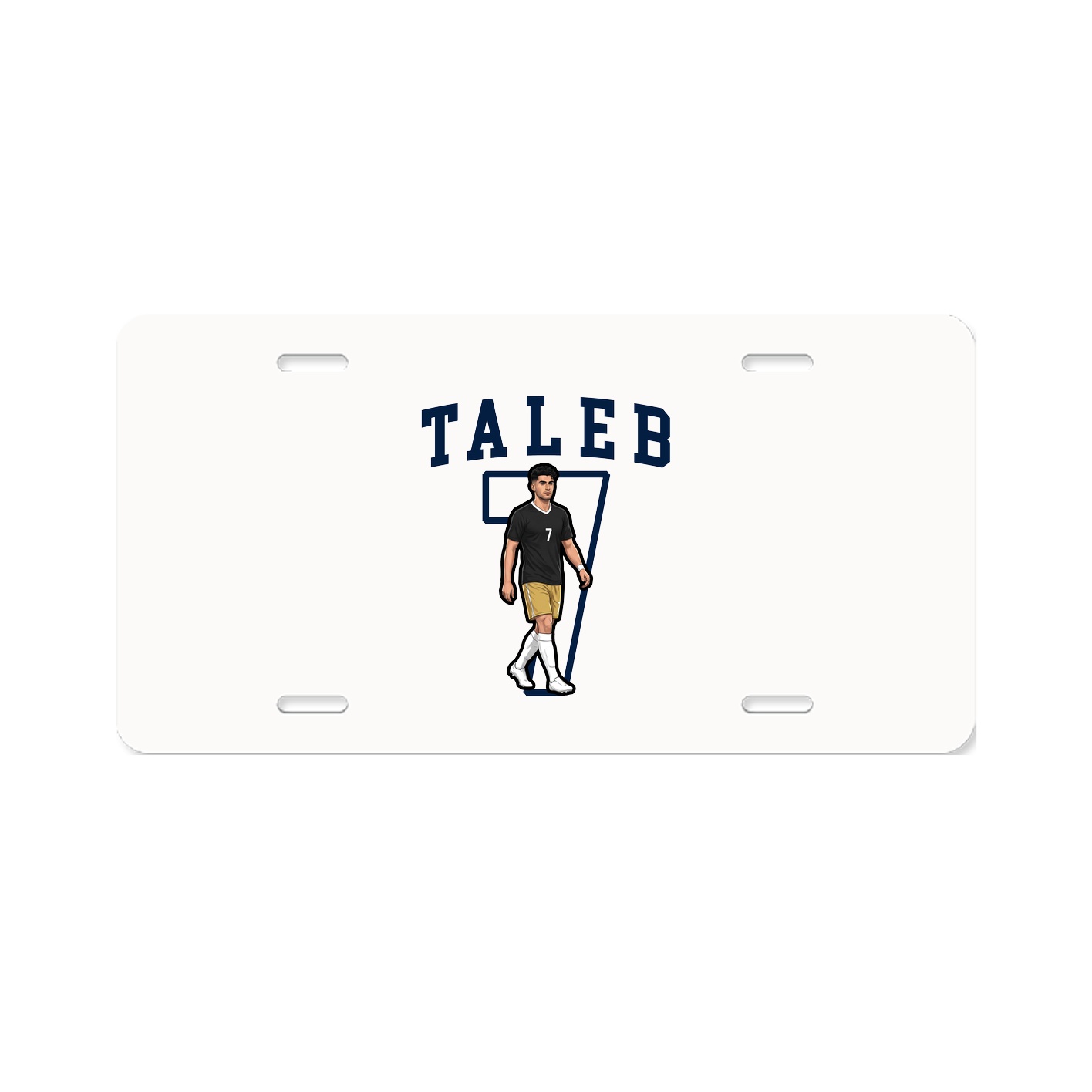 Aluminum License Plate