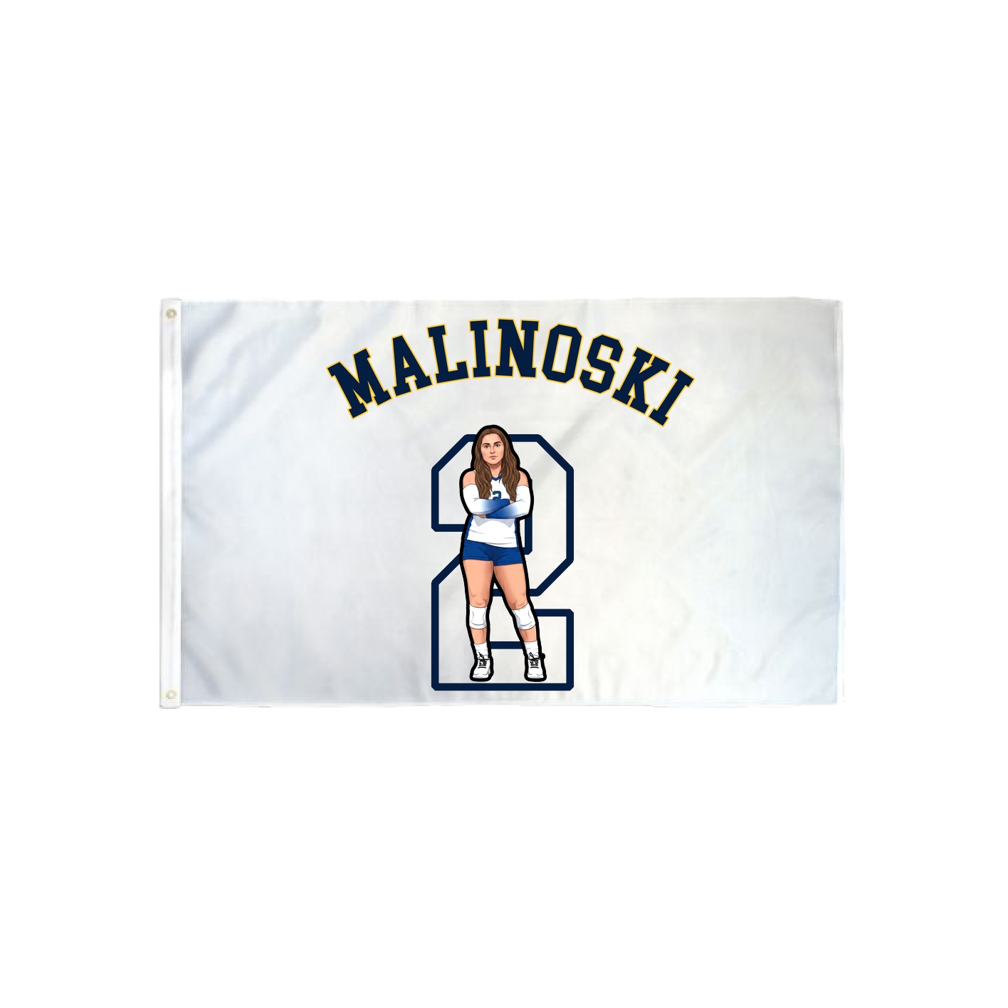 3x5 Flag — Shirsey Arch in Classic