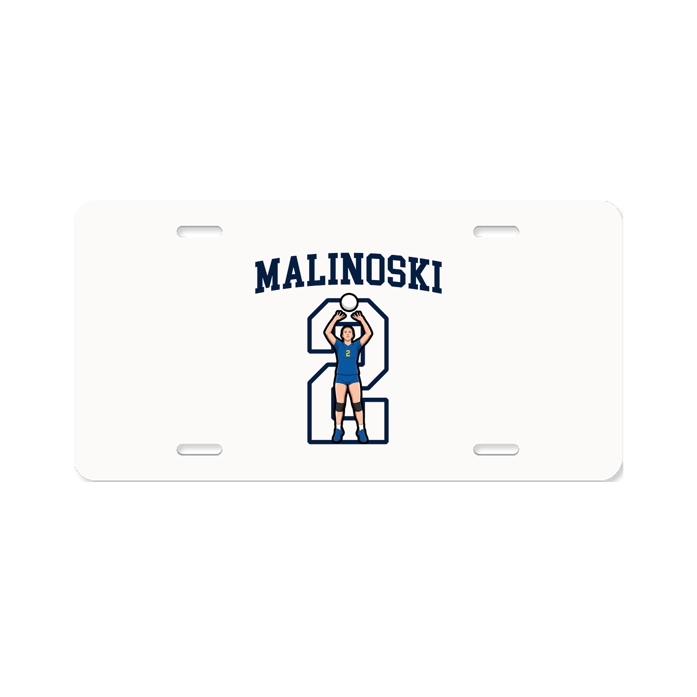 License Plate